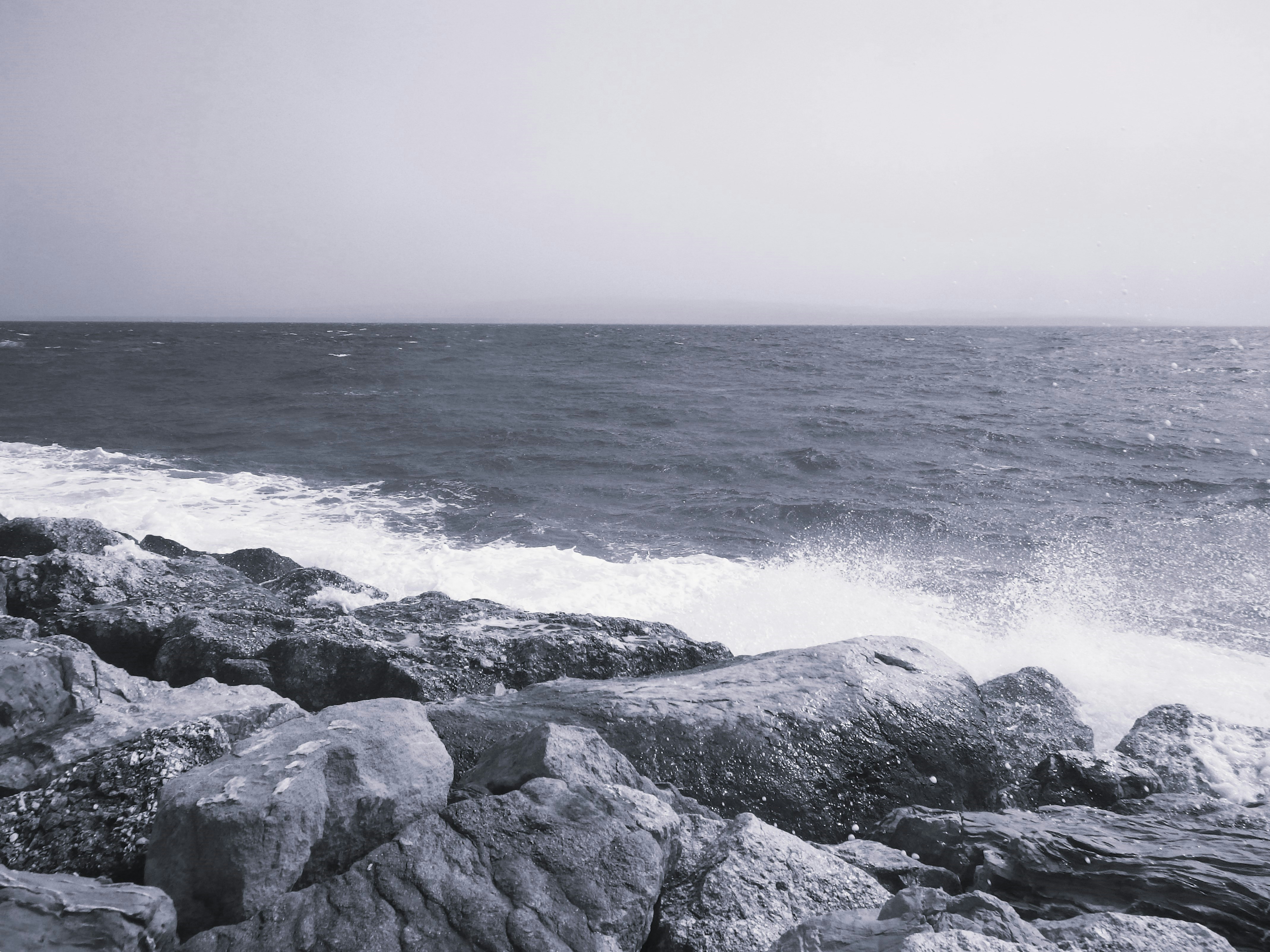 Photo by dominapetric