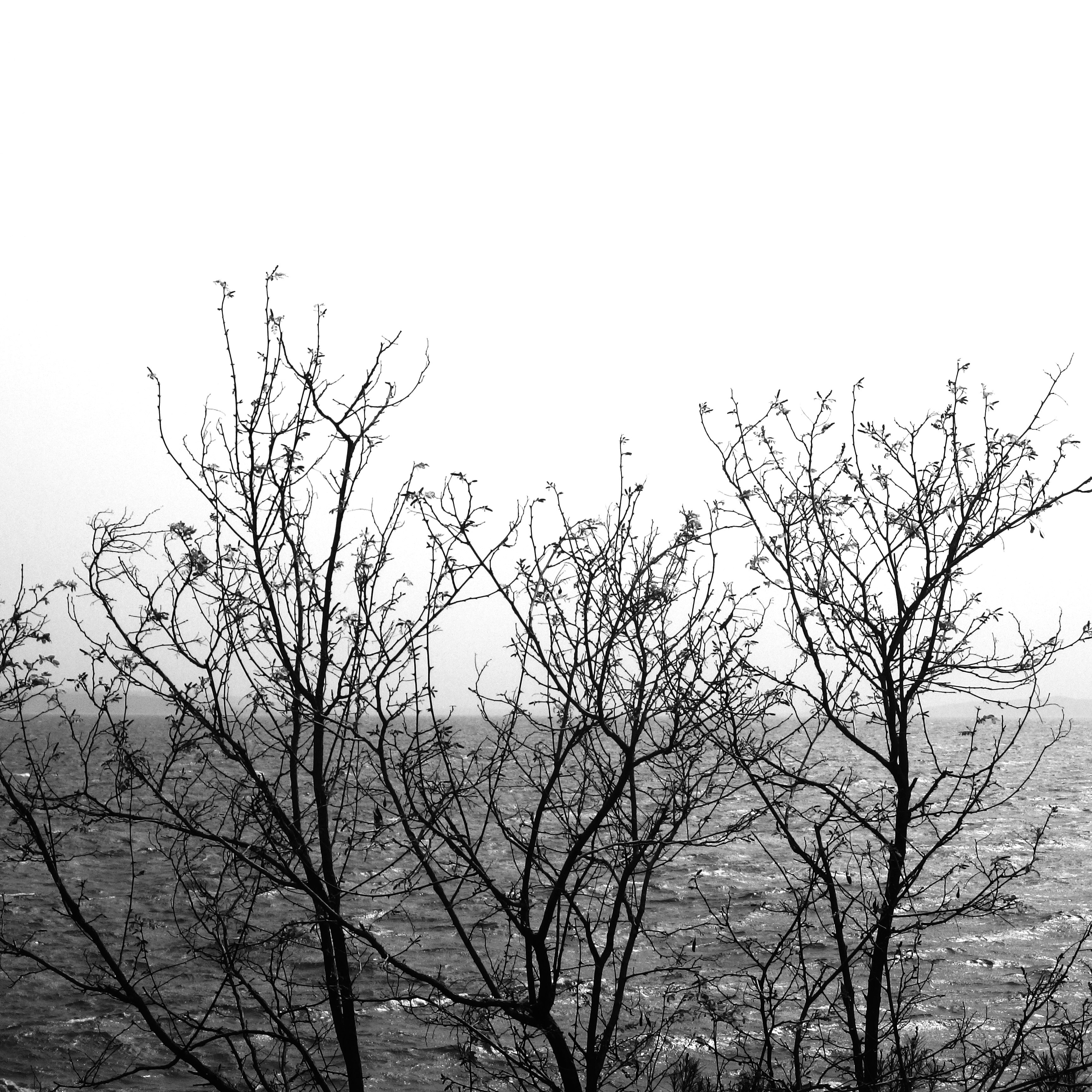 Photo by dominapetric