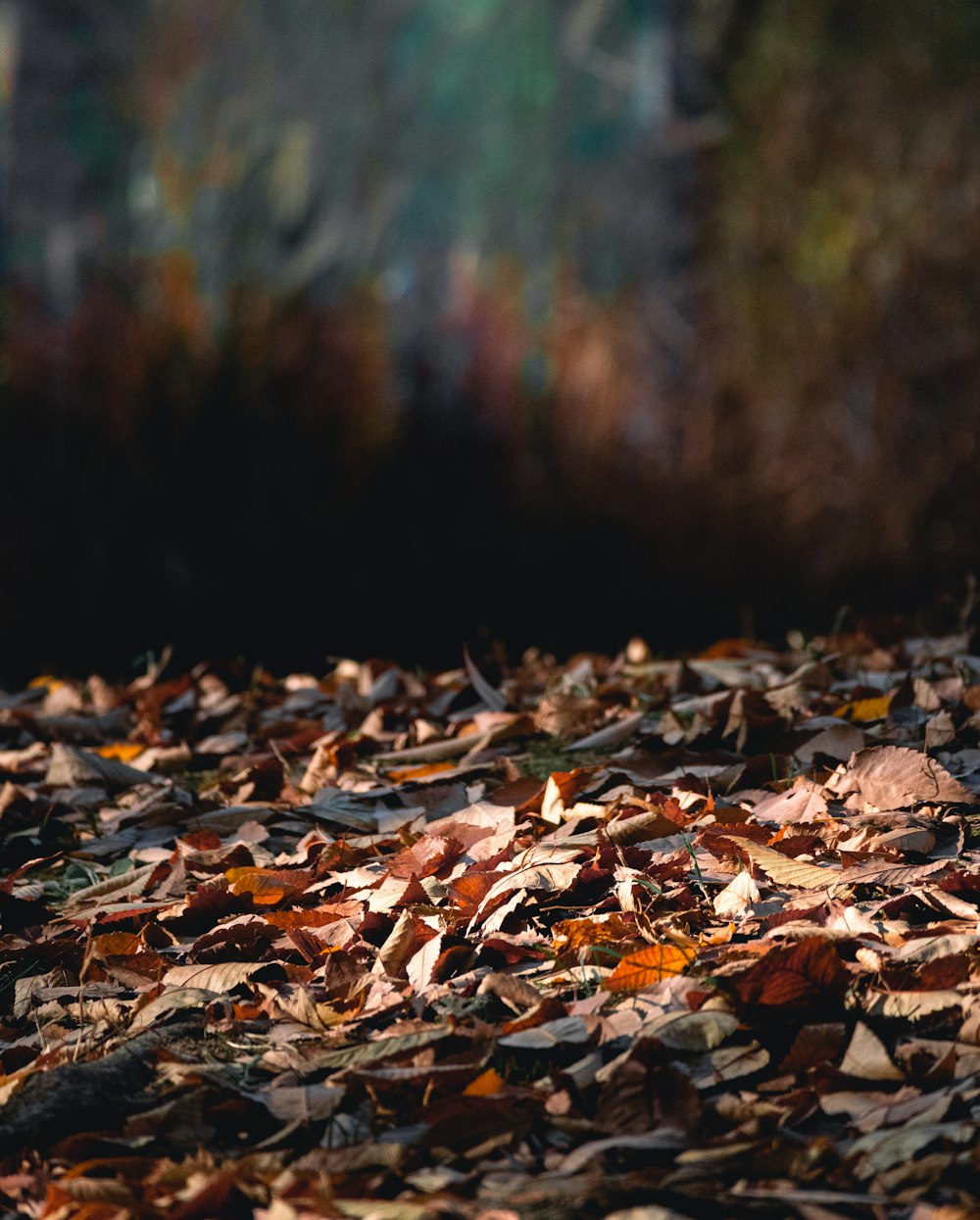 a bird standing on top of a pile of leaves