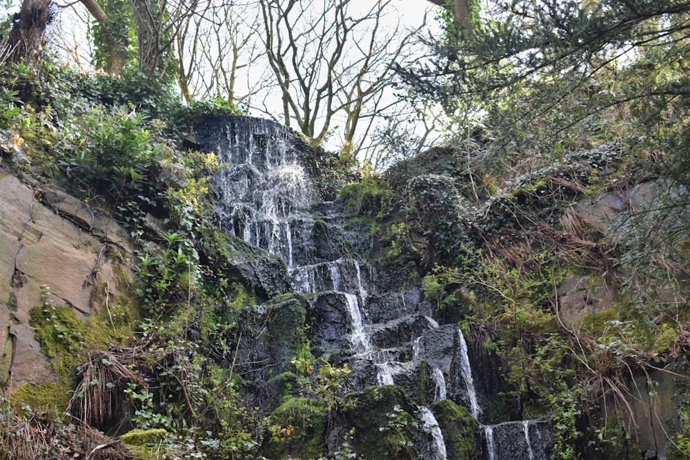 a waterfall in the middle of a forest