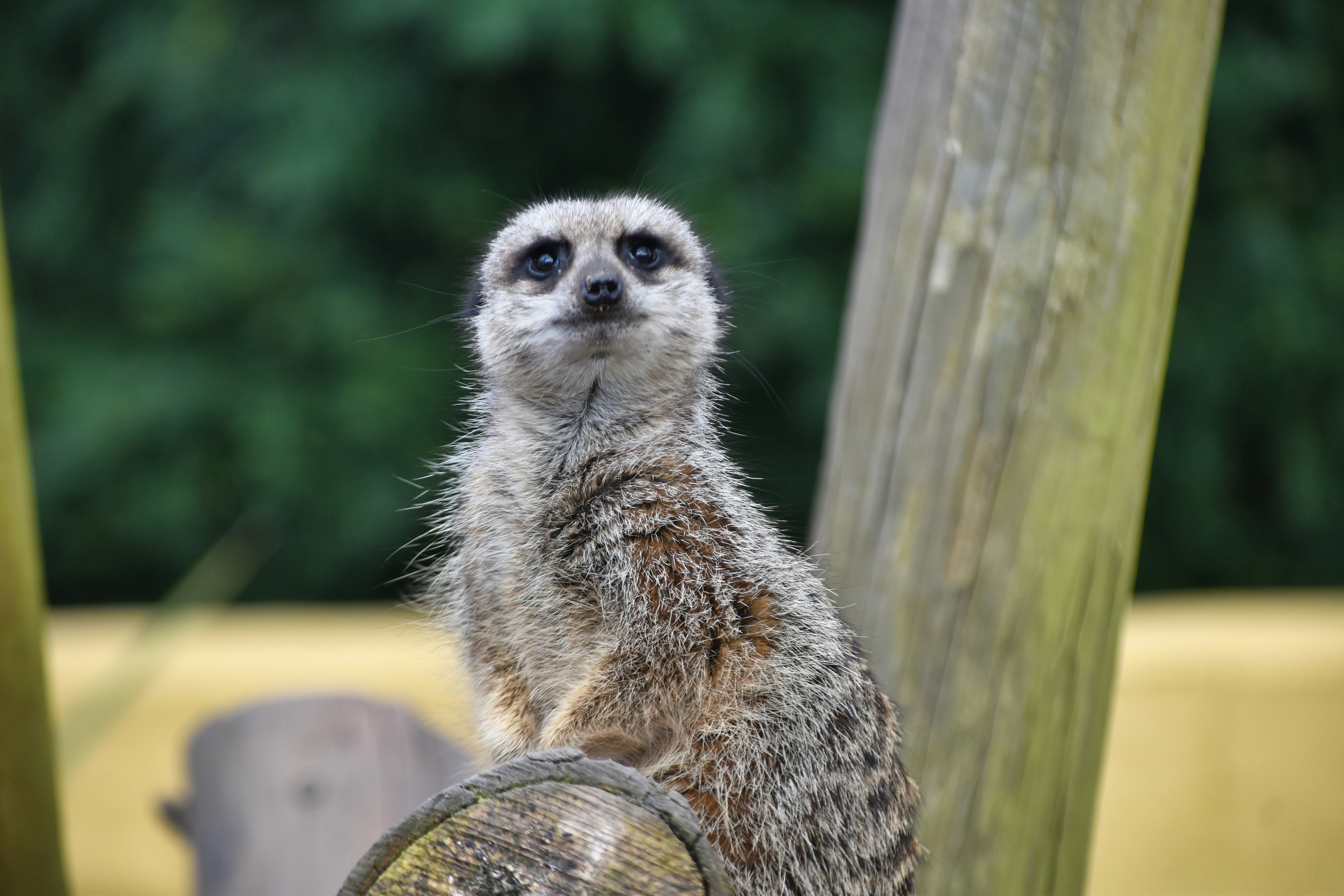 Photo by andrew_hall