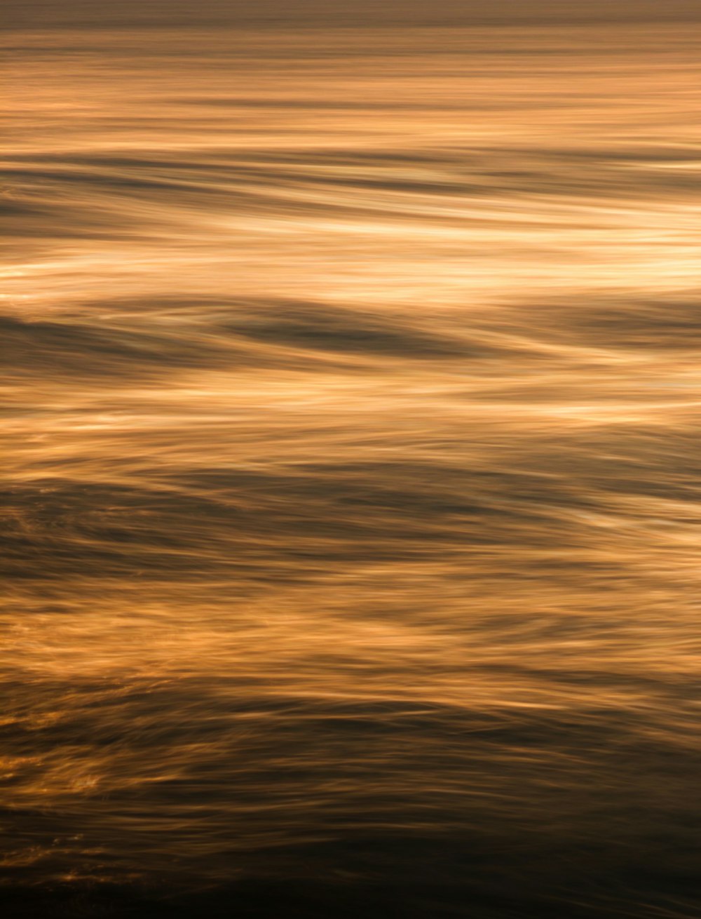 a bird flying over a body of water at sunset