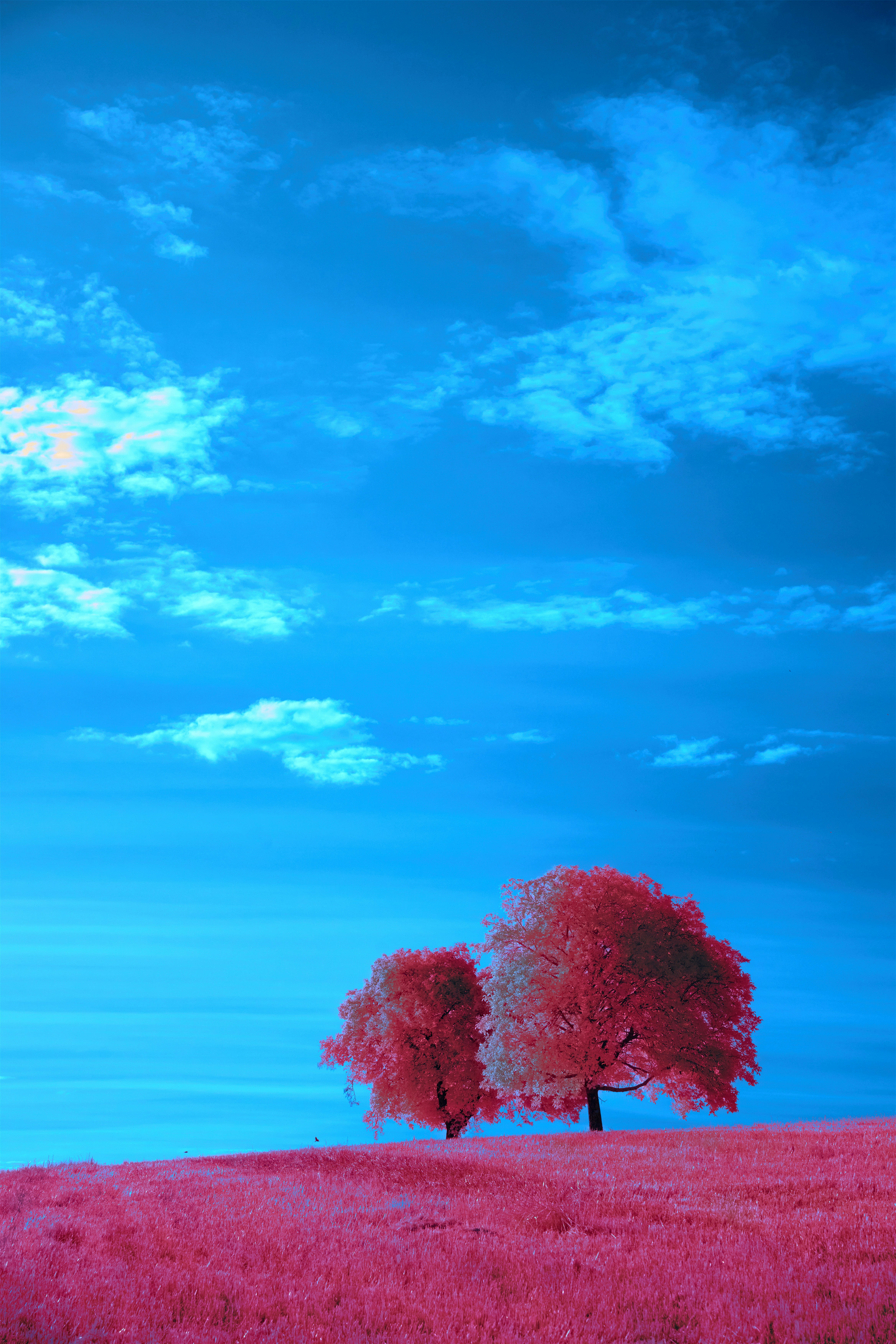 DEEP DIVE: 10 Reasons To Remain Optimistic About The US Economy