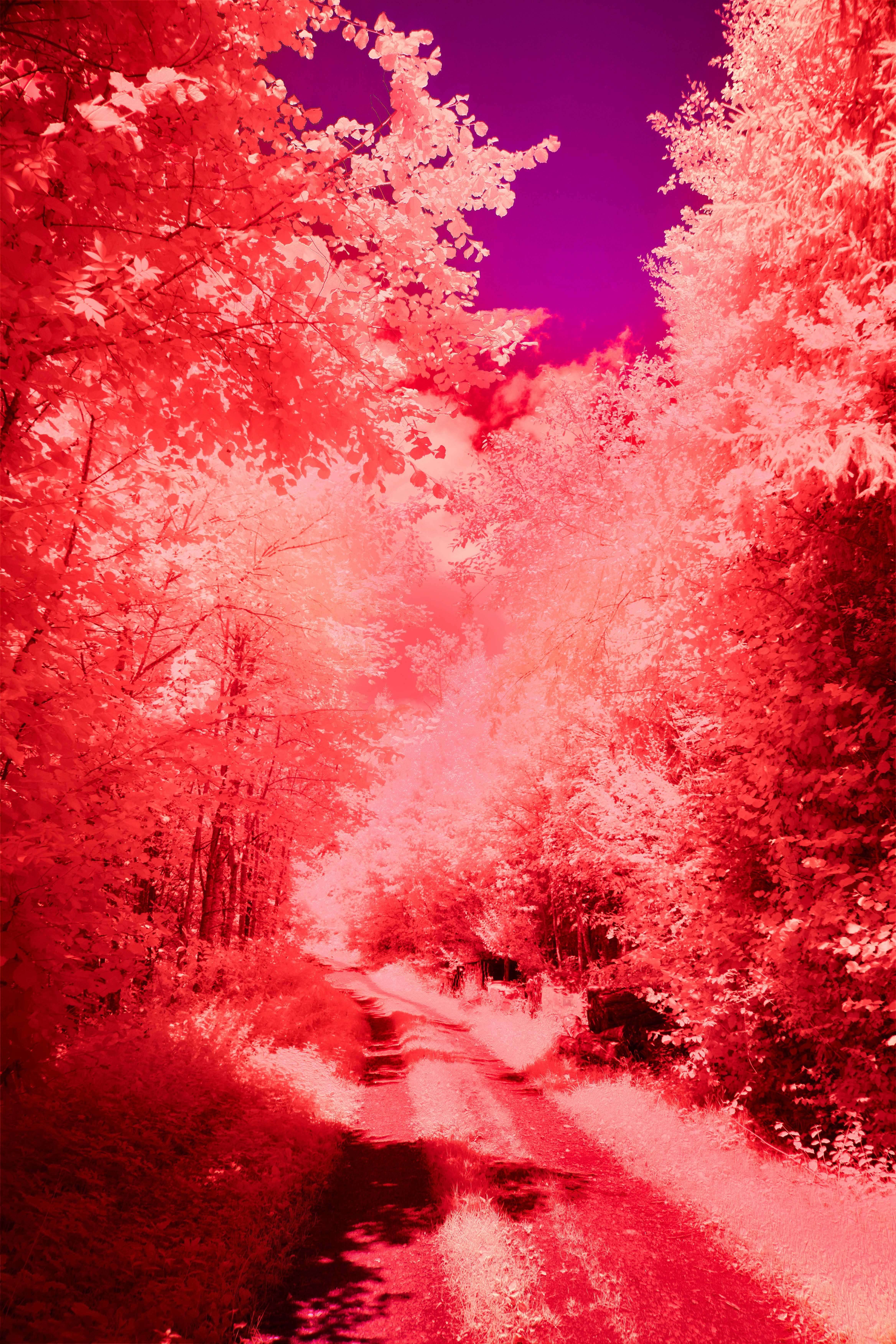 Photo by wolfgang_hasselmann