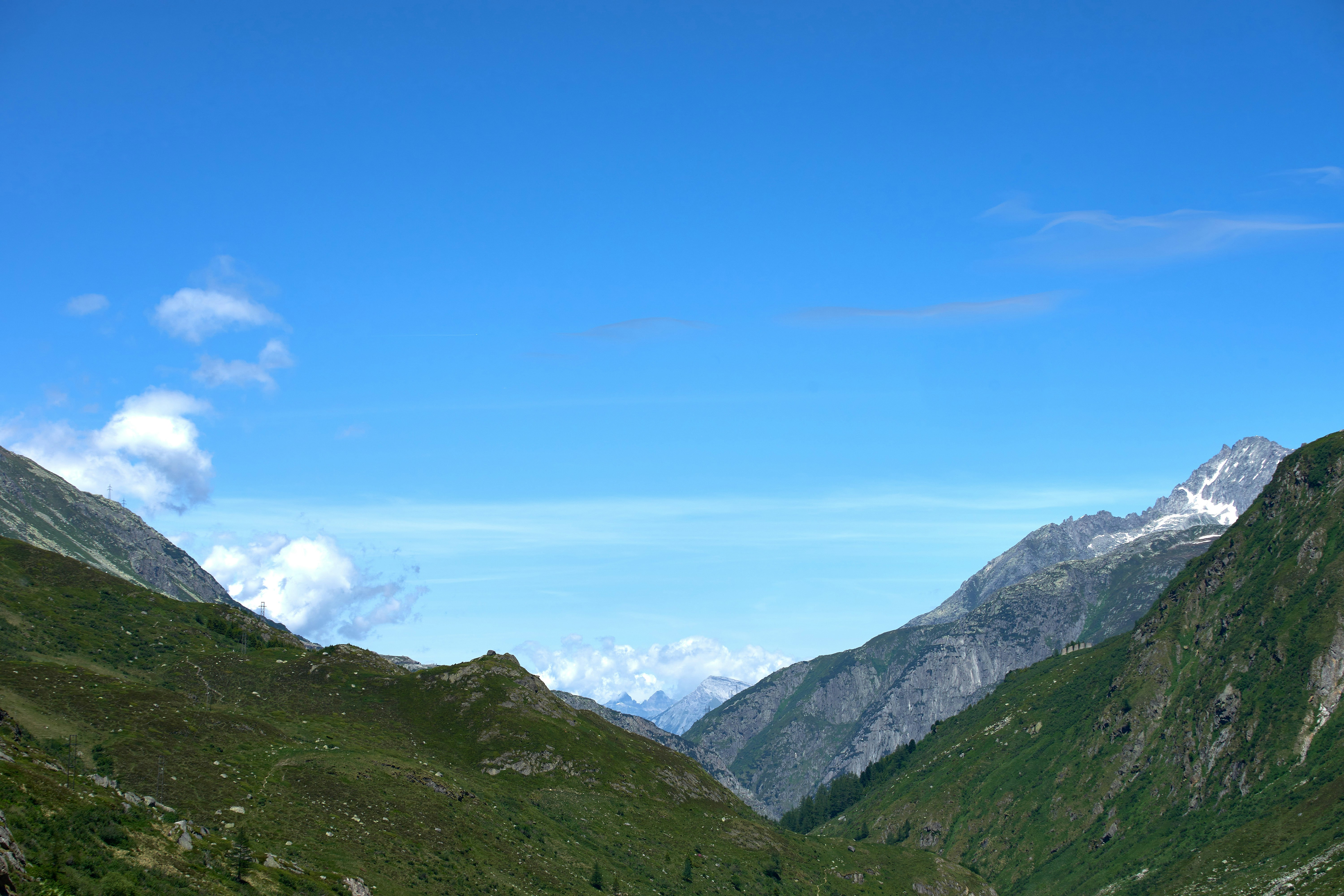 Photo by wolfgang_hasselmann