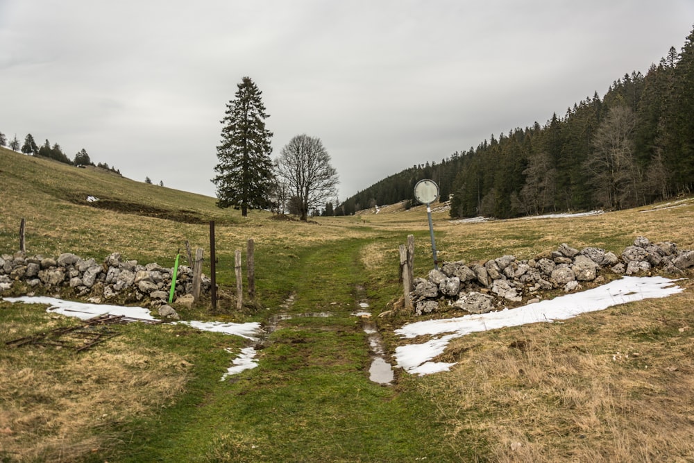 a grassy field with snow on the ground