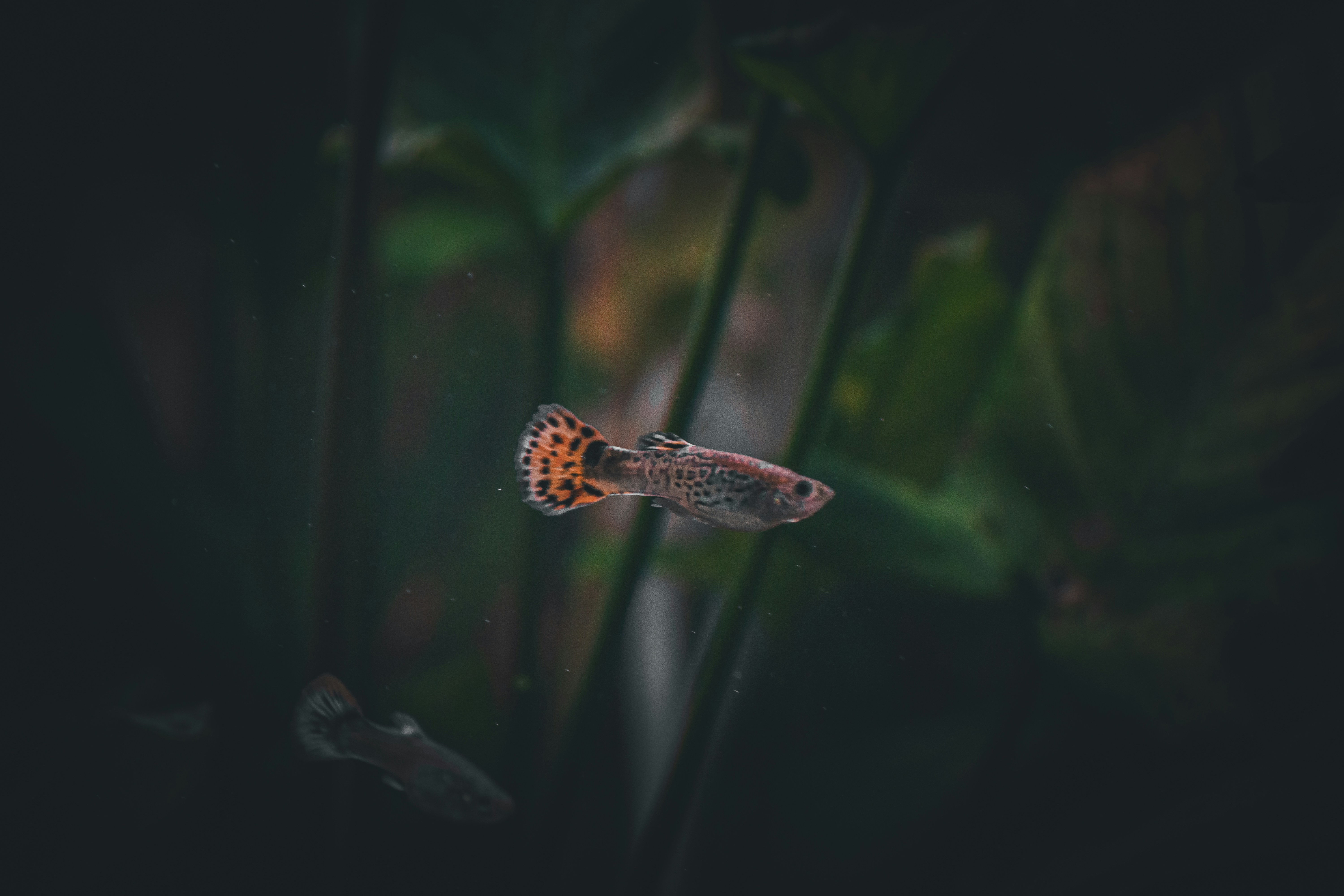 Photo by diogocardoso28