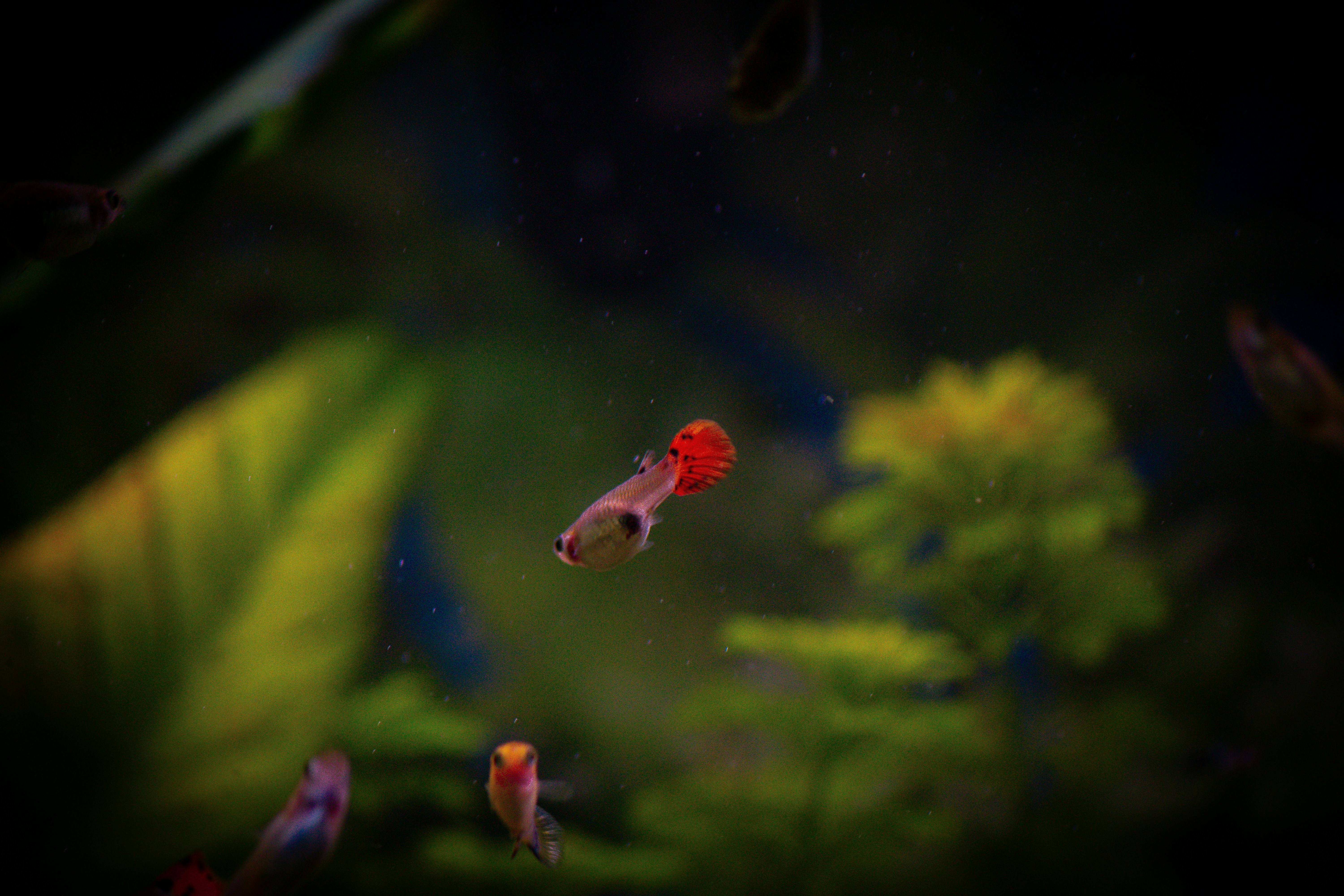 Photo by diogocardoso28