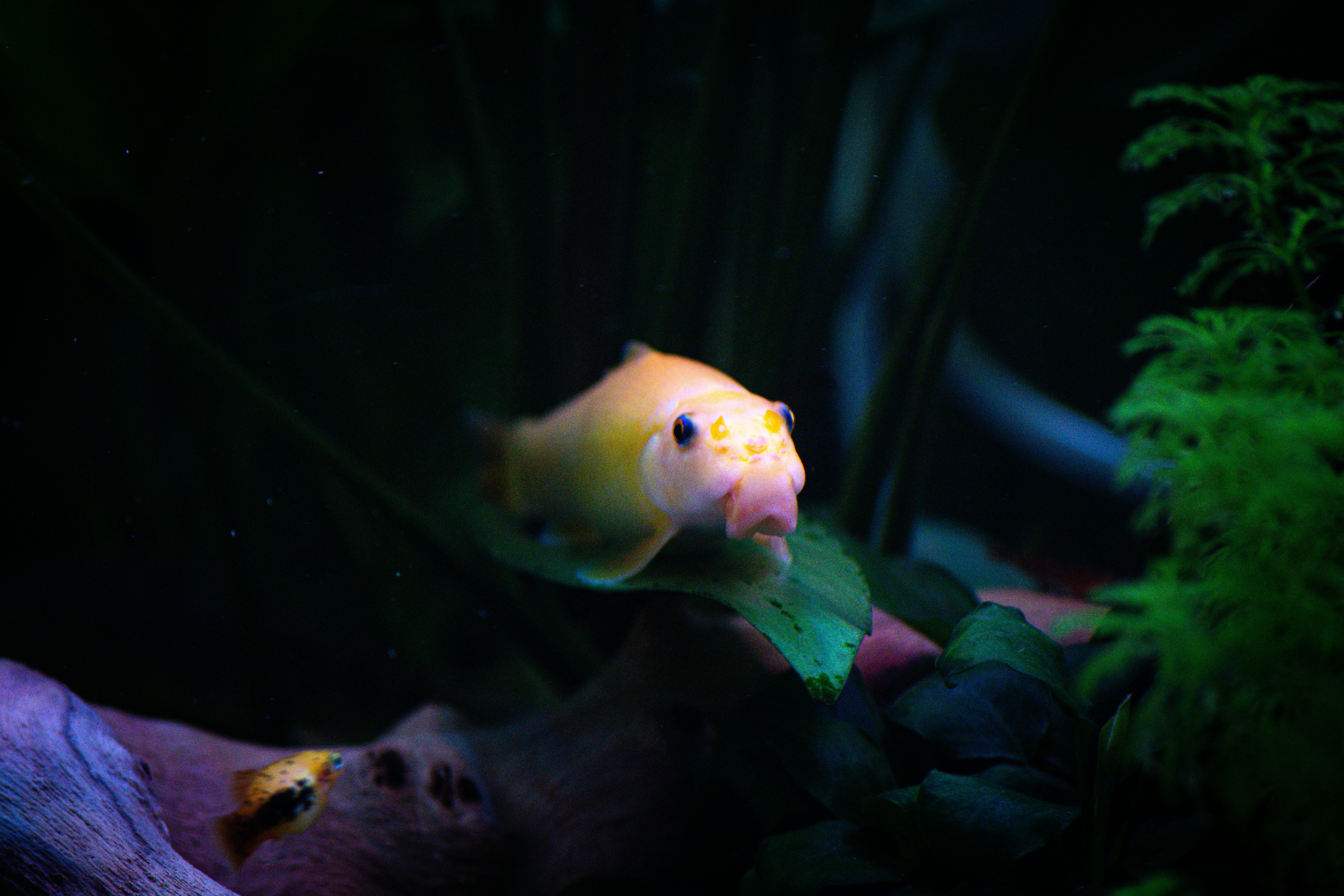 Photo by diogocardoso28