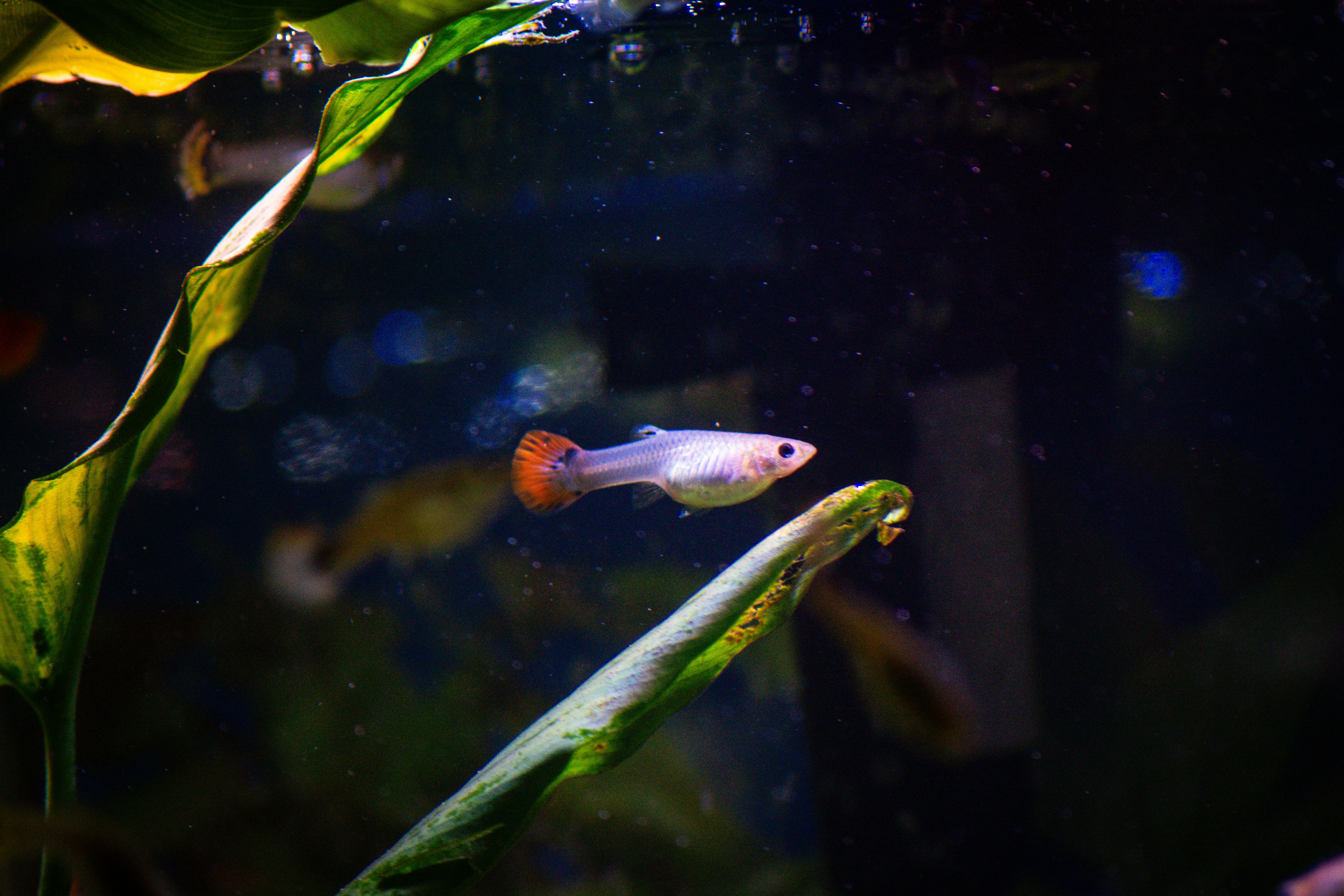 Photo by diogocardoso28