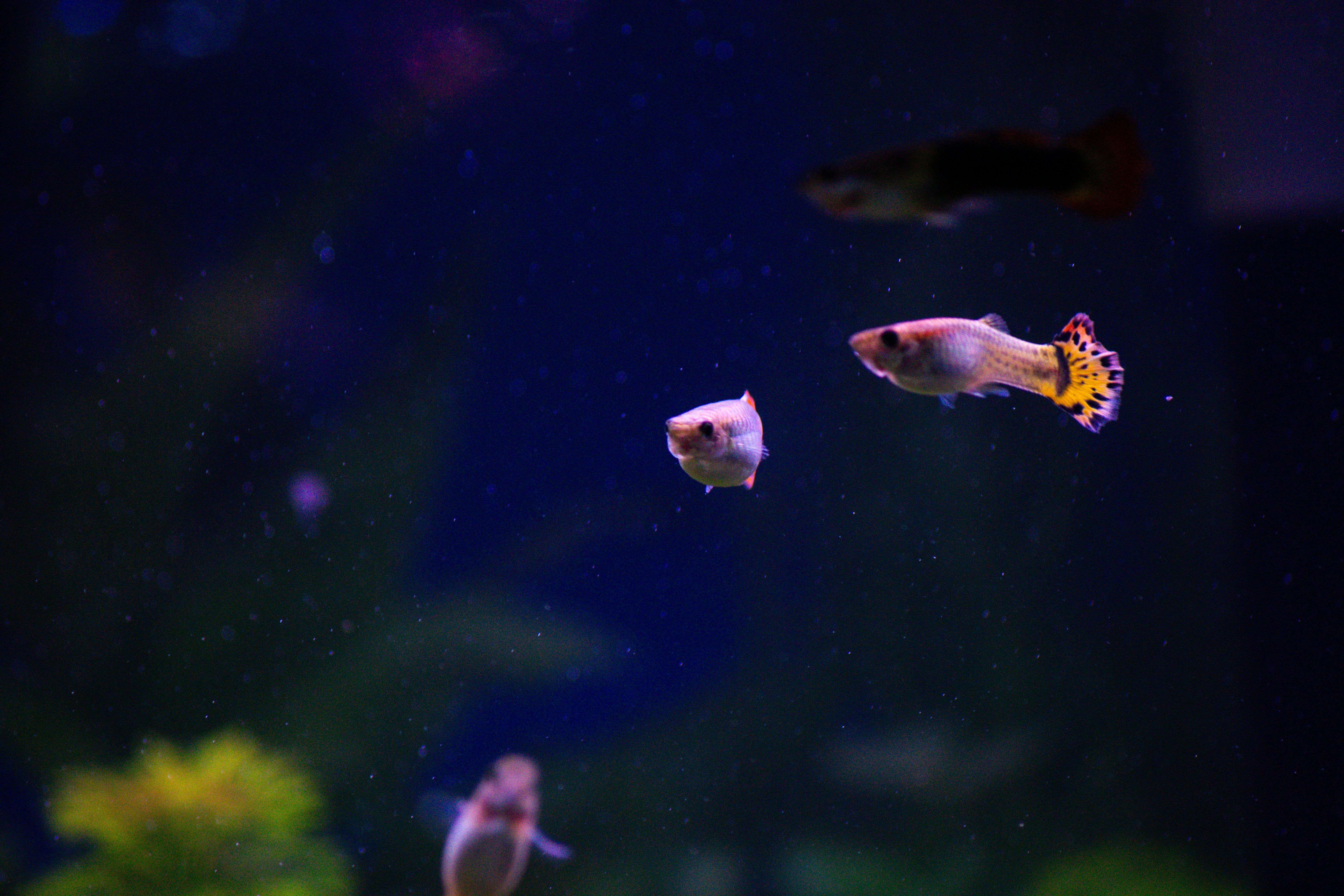 Photo by diogocardoso28