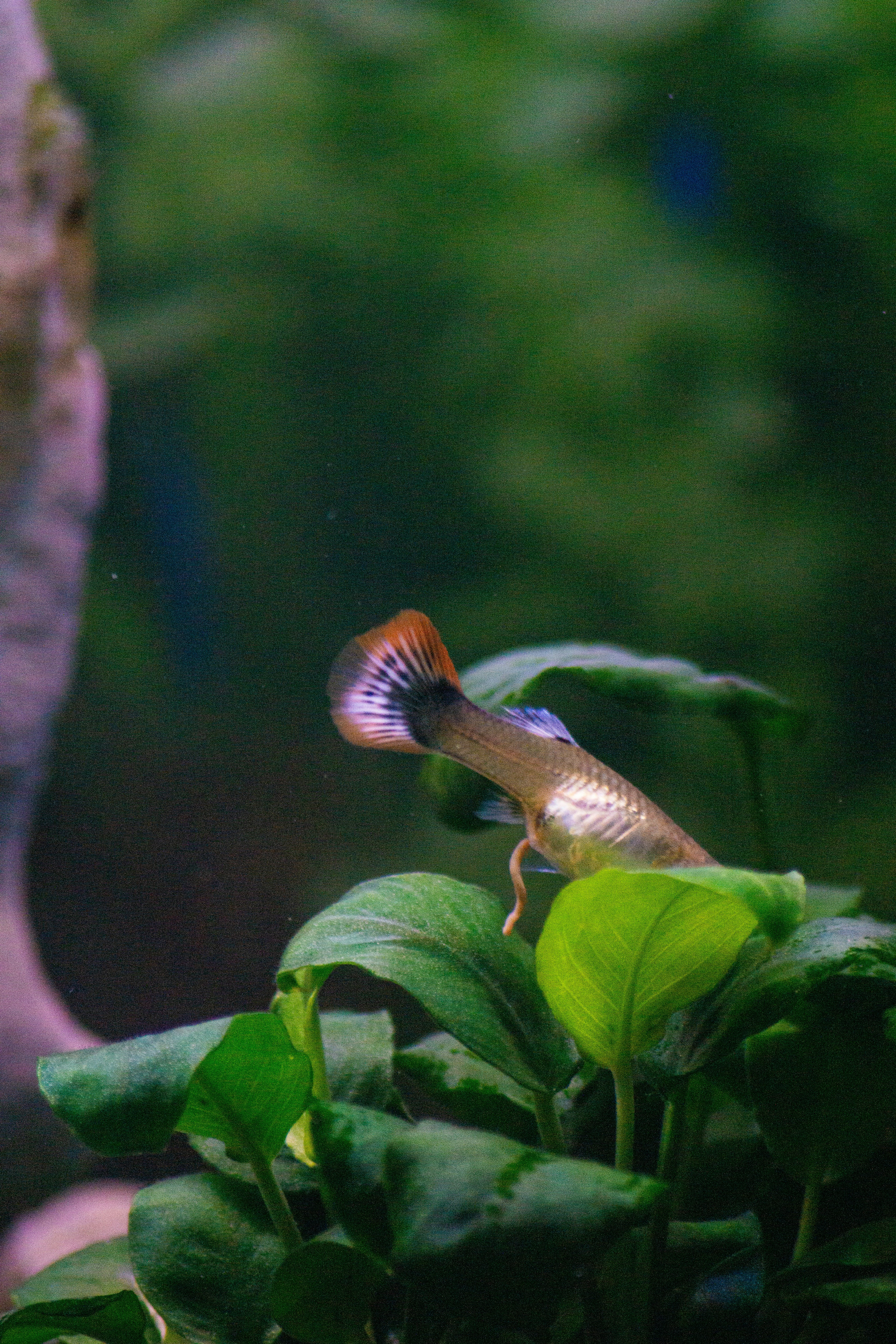 Photo by diogocardoso28