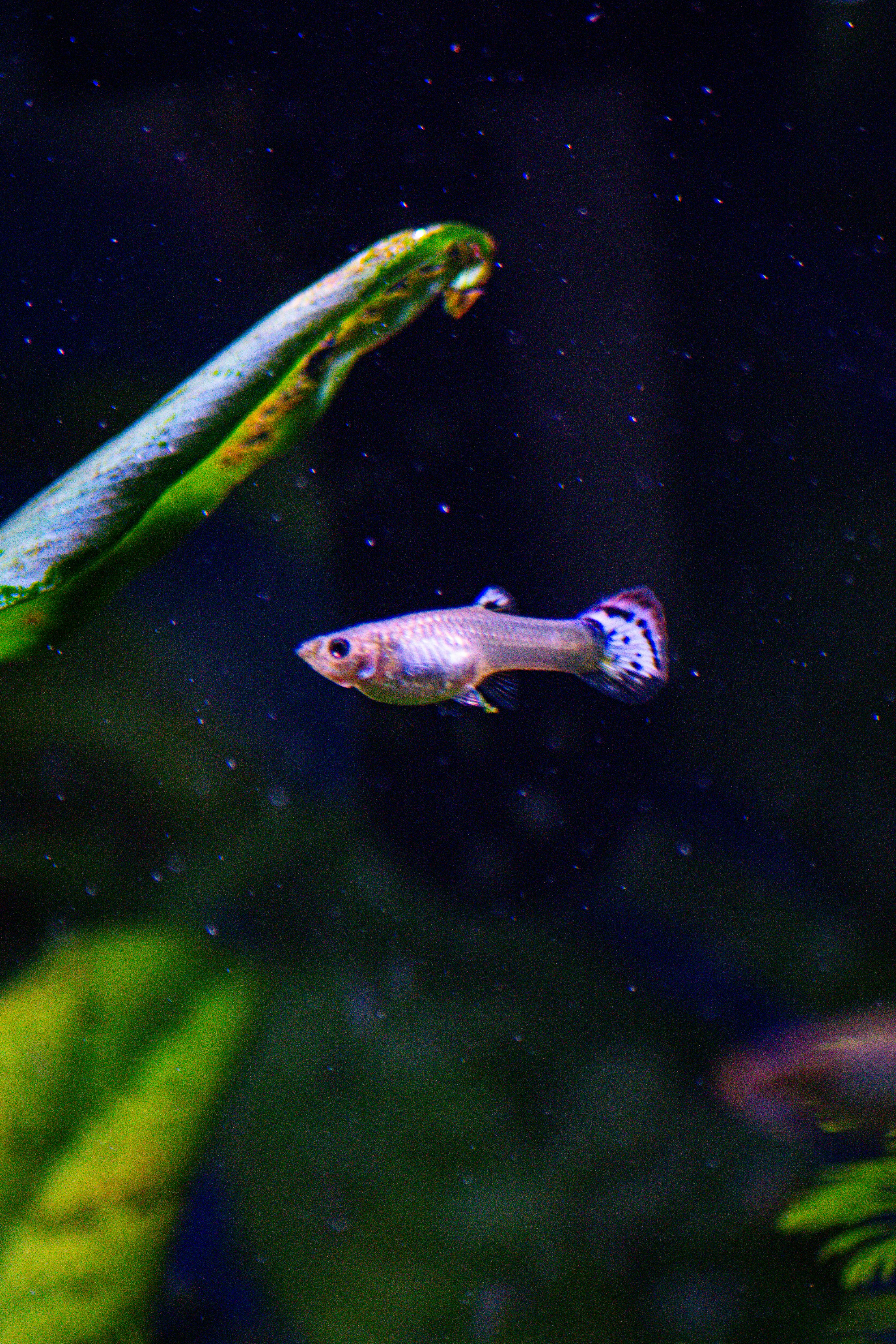 Photo by diogocardoso28