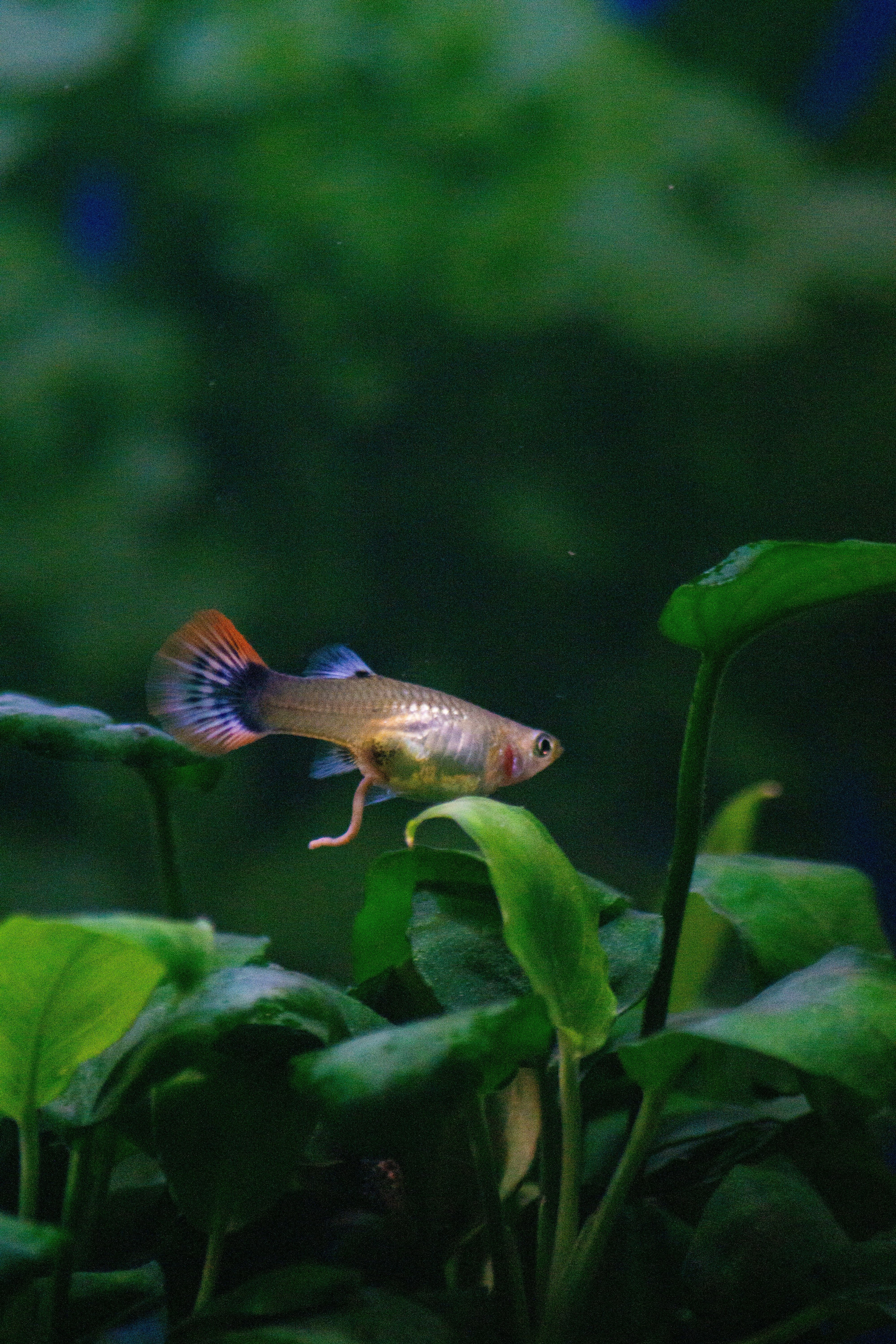 Photo by diogocardoso28