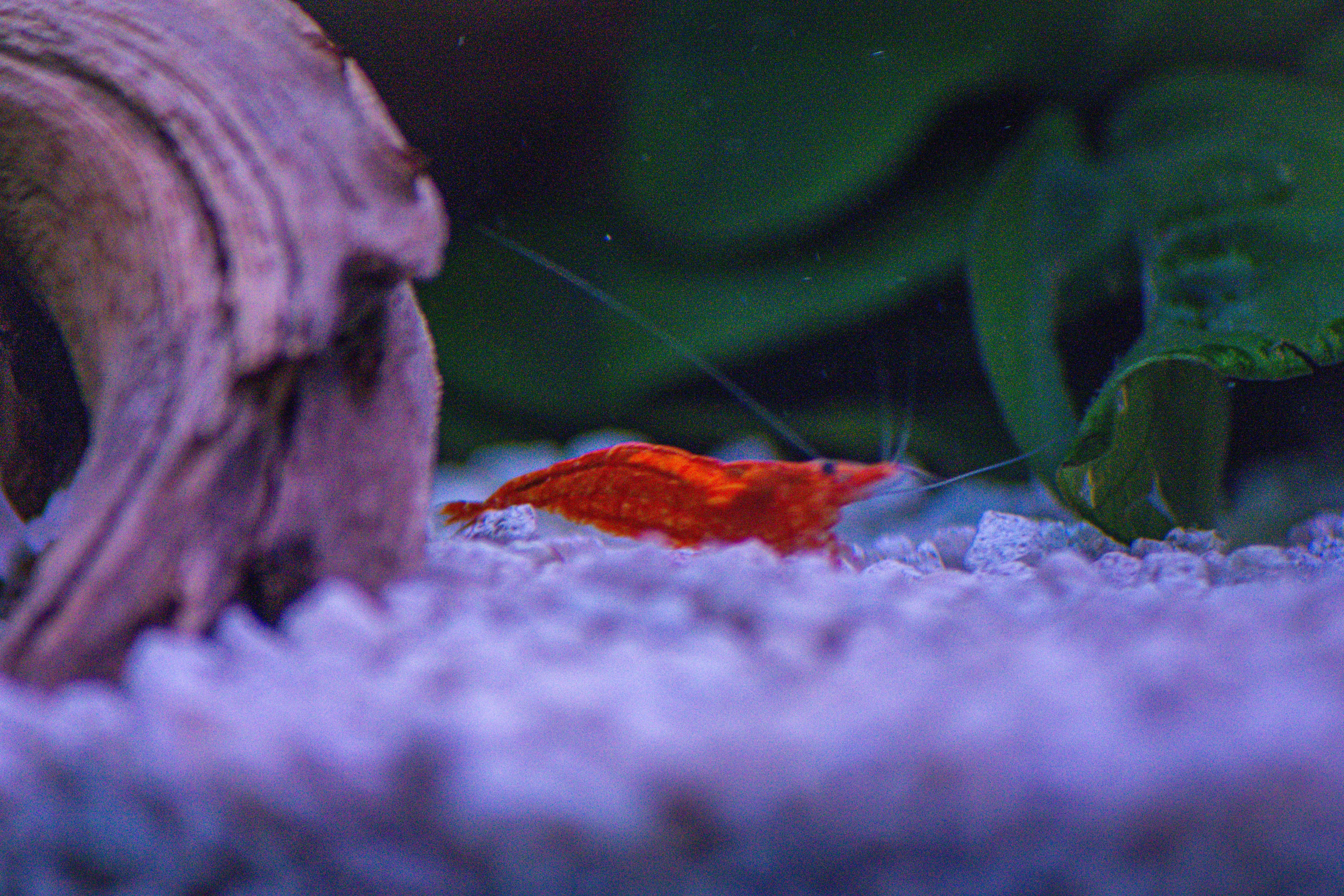 Photo by diogocardoso28