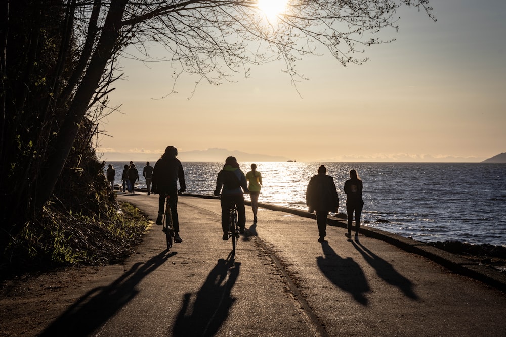 a group of people riding bikes down a road next to the ocean