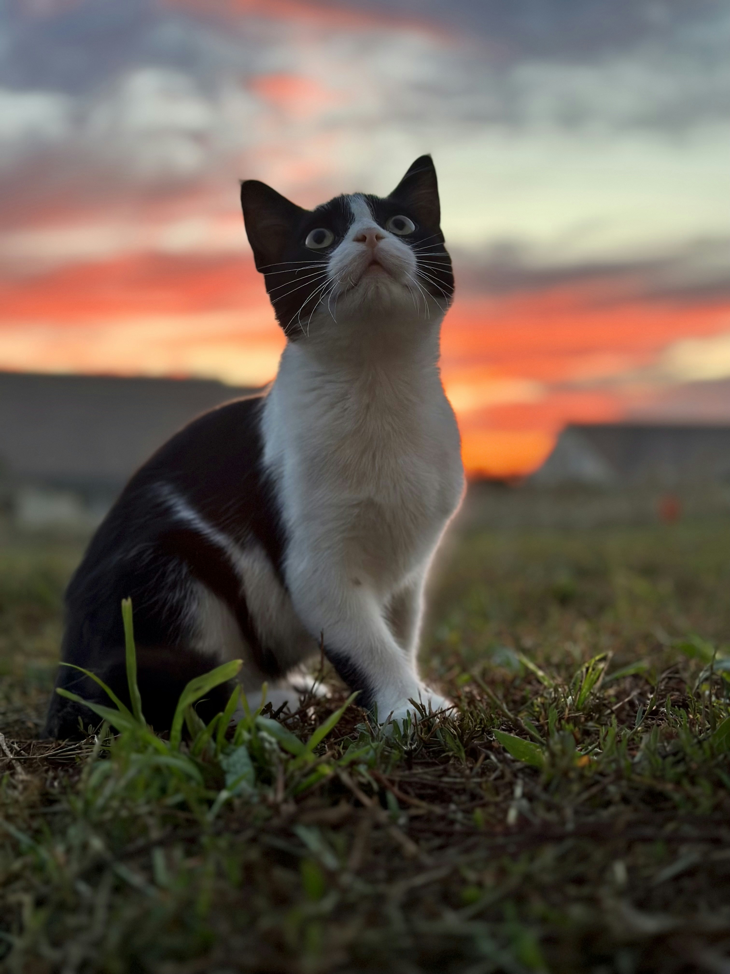 Photo by samuelbruneau