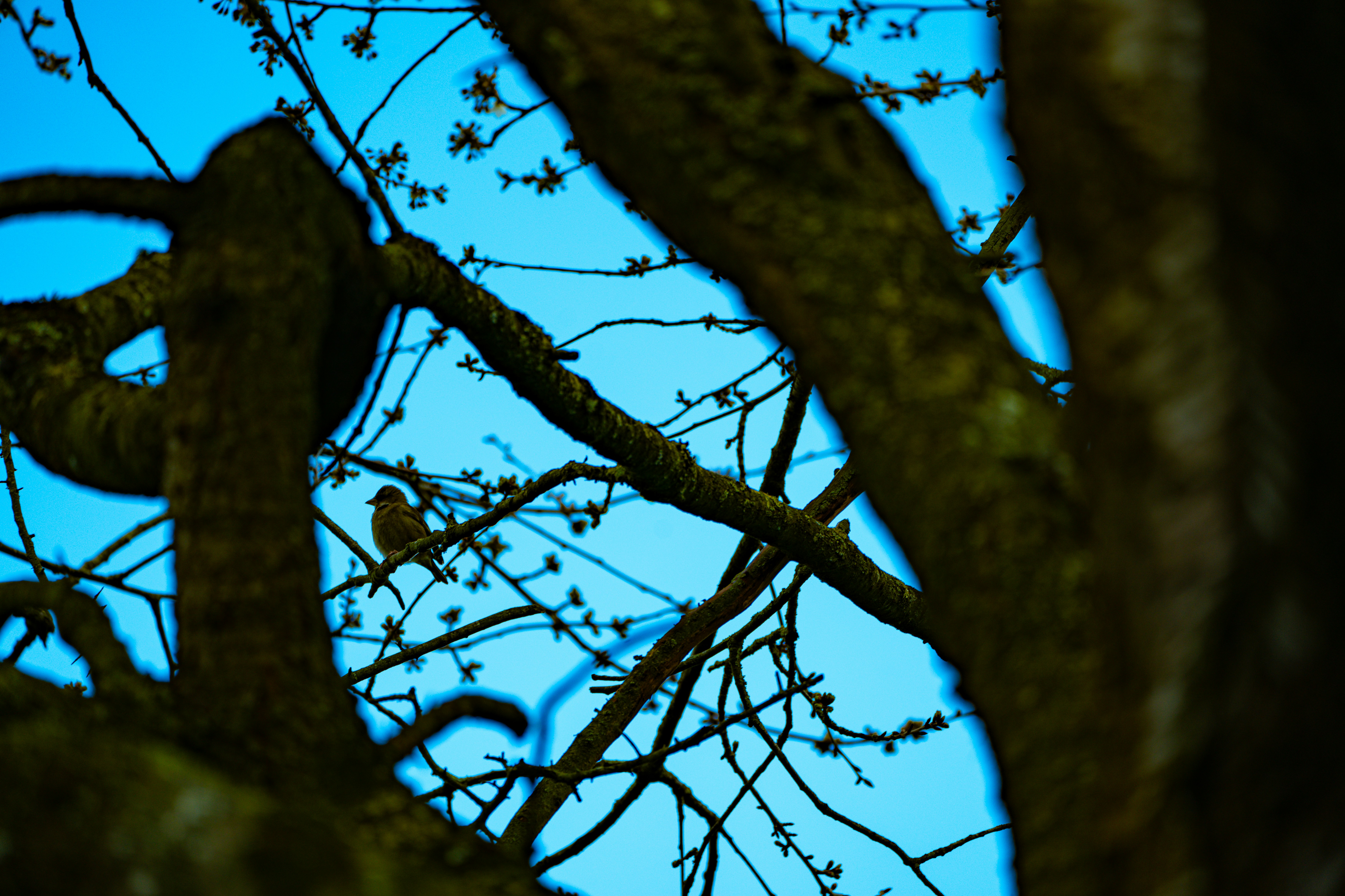 Photo by paulkennymcgrath