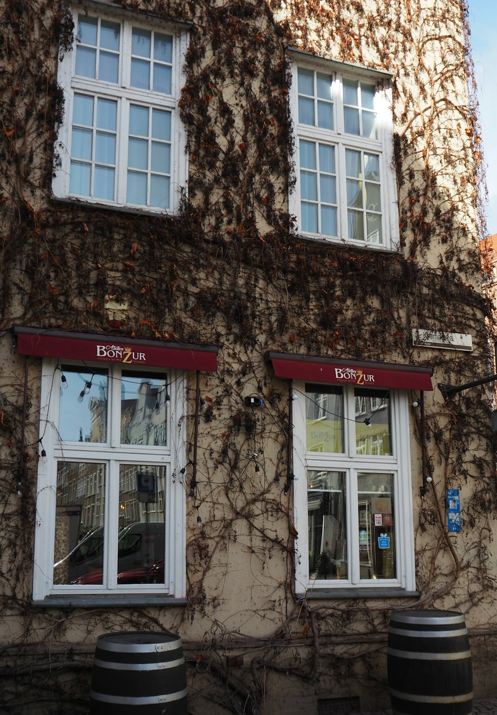 a building covered in vines and vines with windows