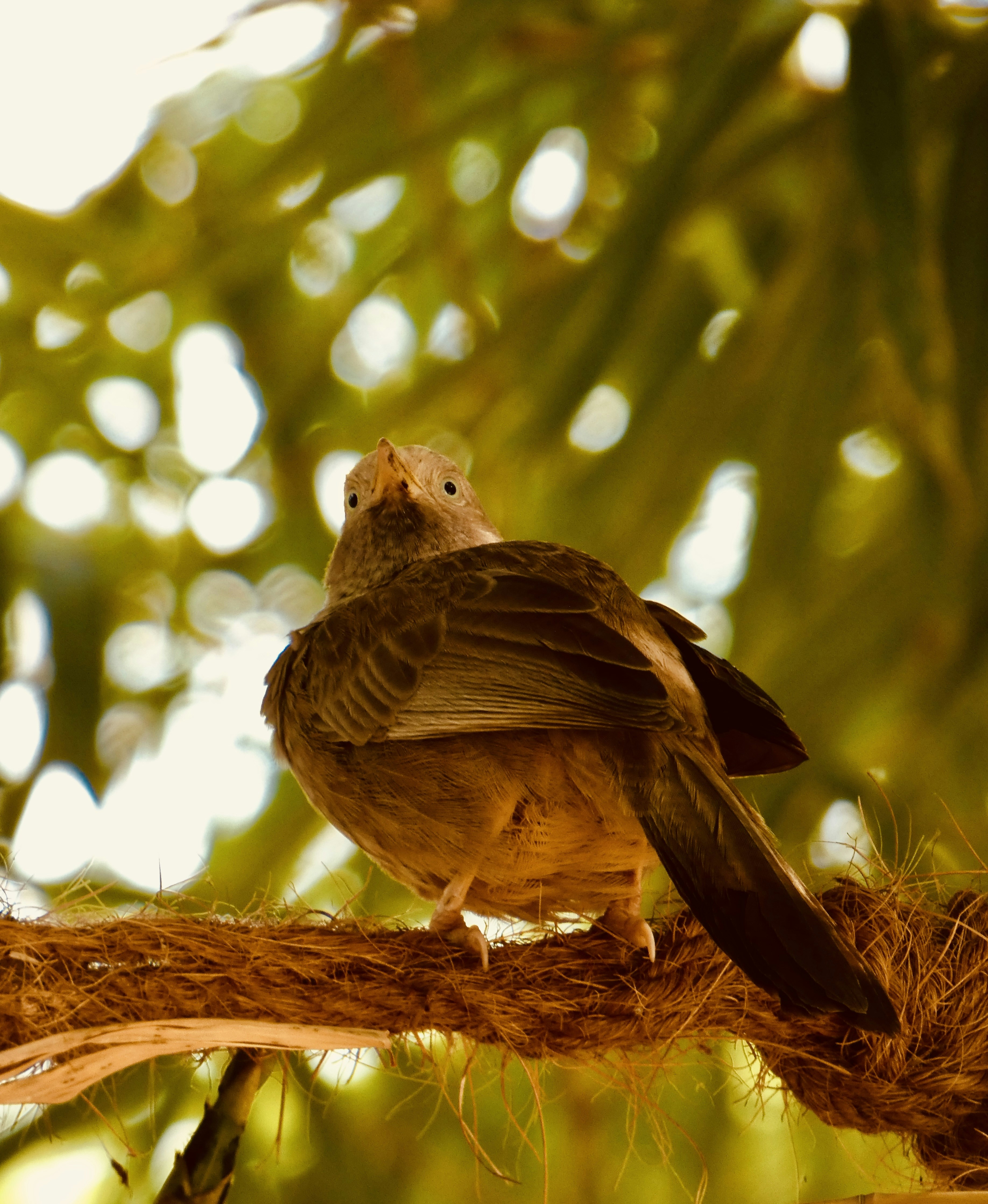 Photo by akashravuri