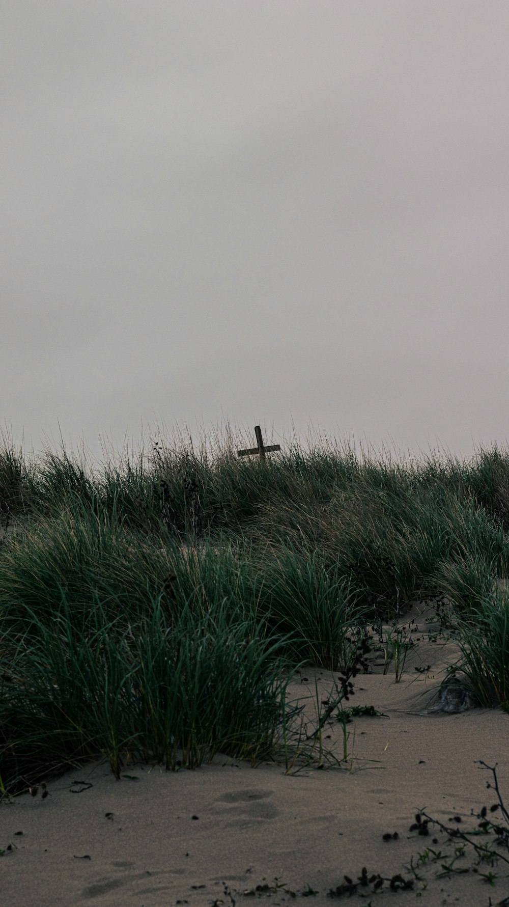 a bench sitting on top of a sandy beach