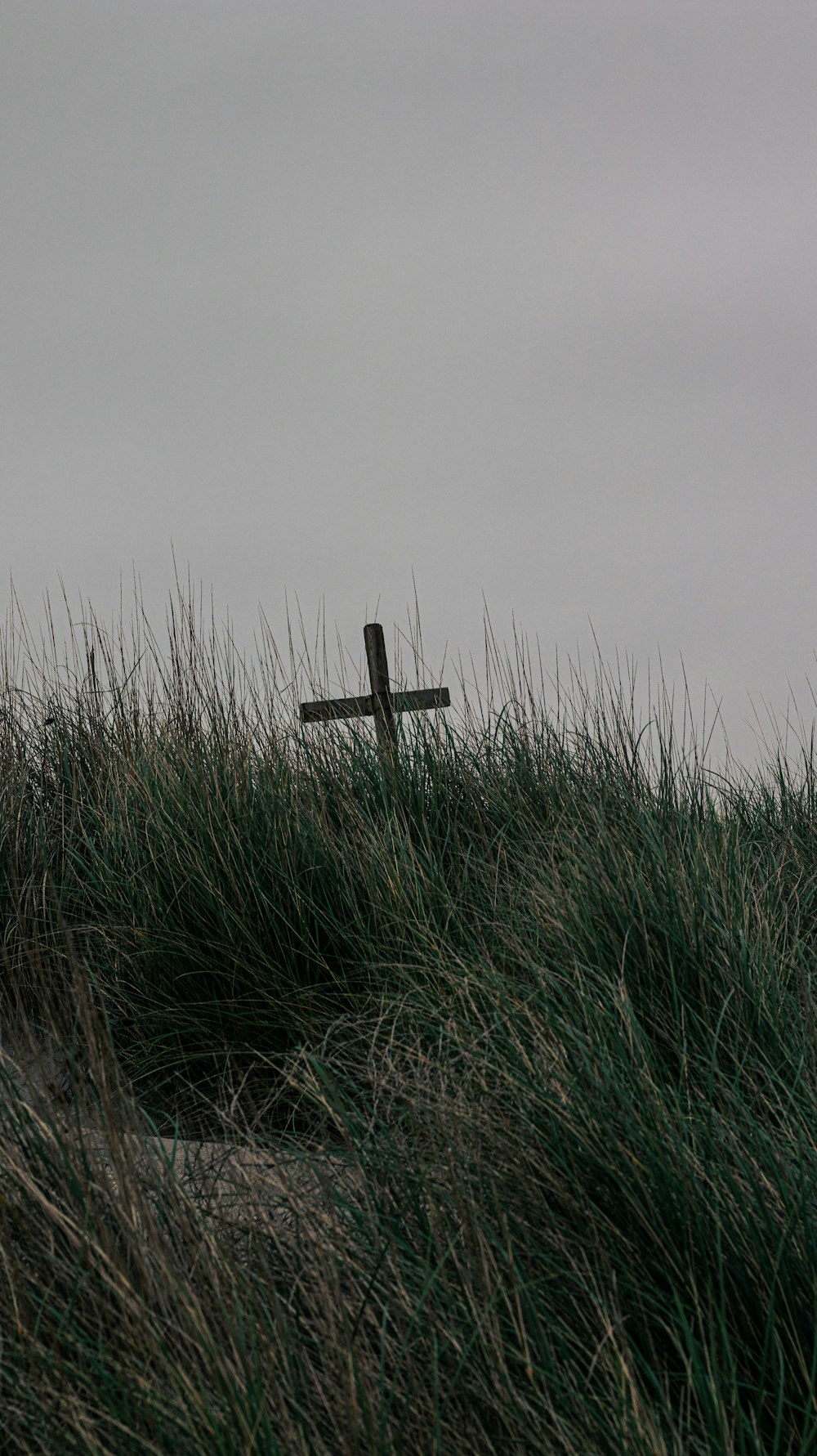a wooden cross sitting on top of a grass covered hill