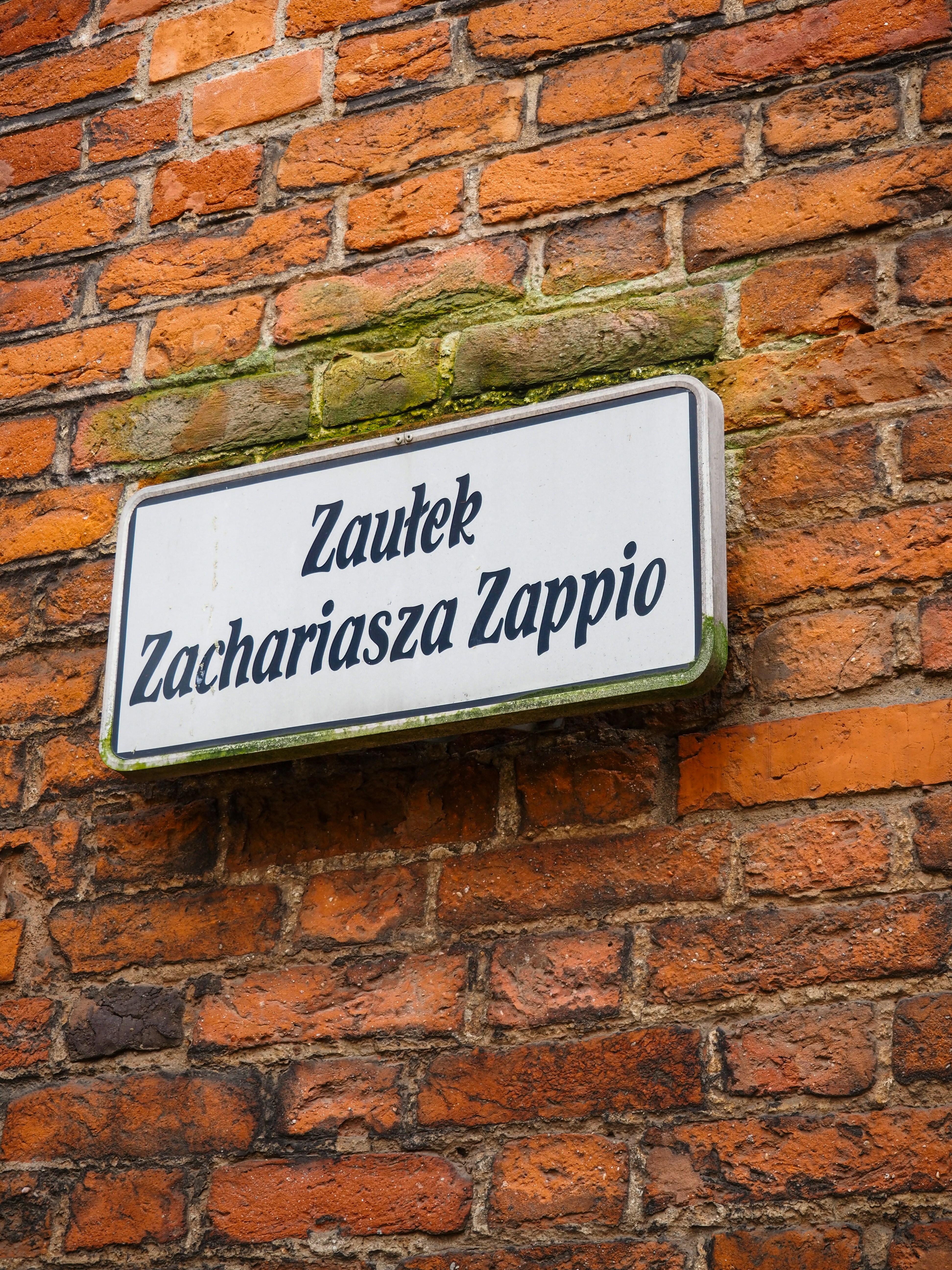 Zaślepki