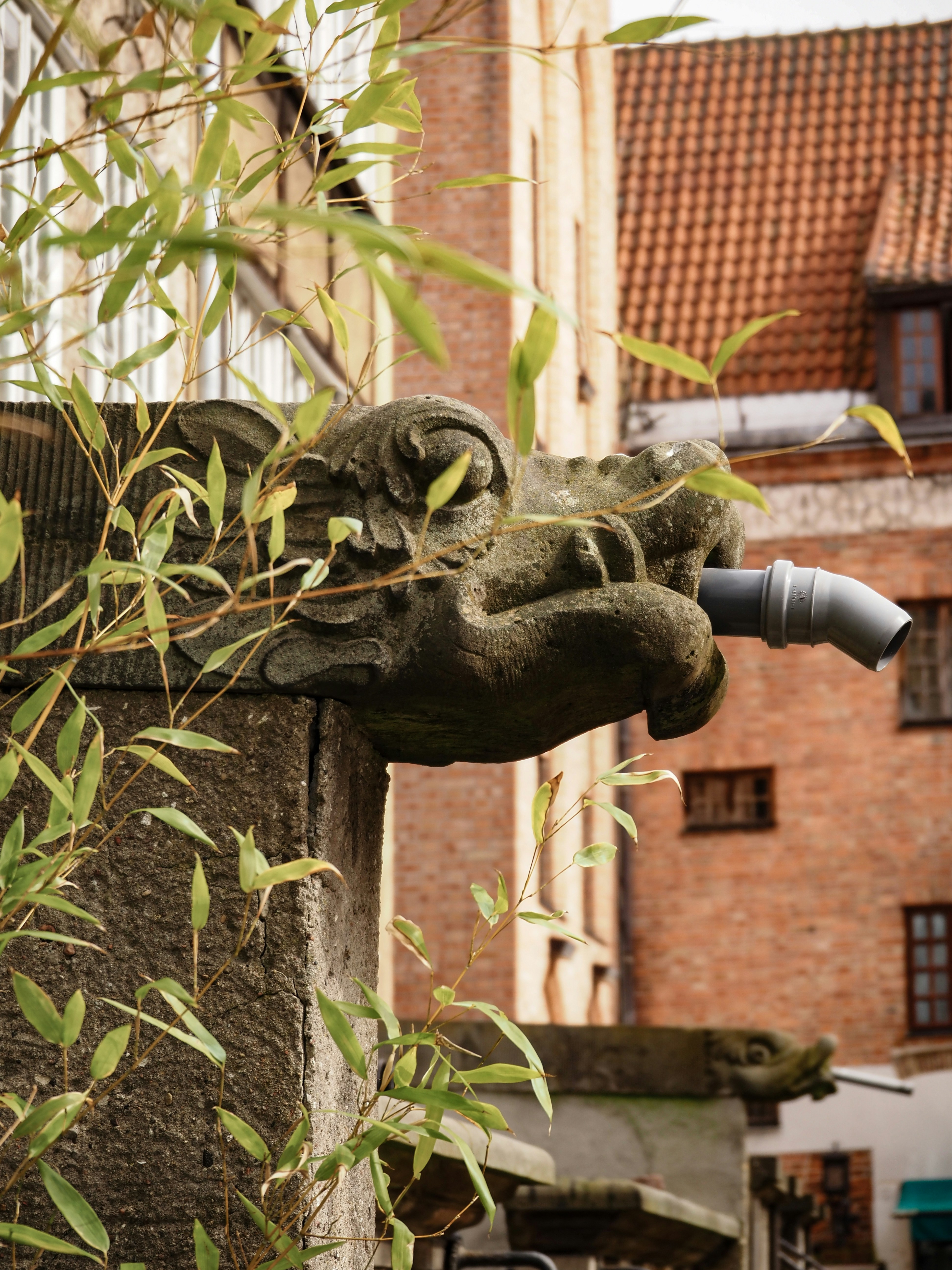 12 Water Plumbing Tips for Green Building Projects