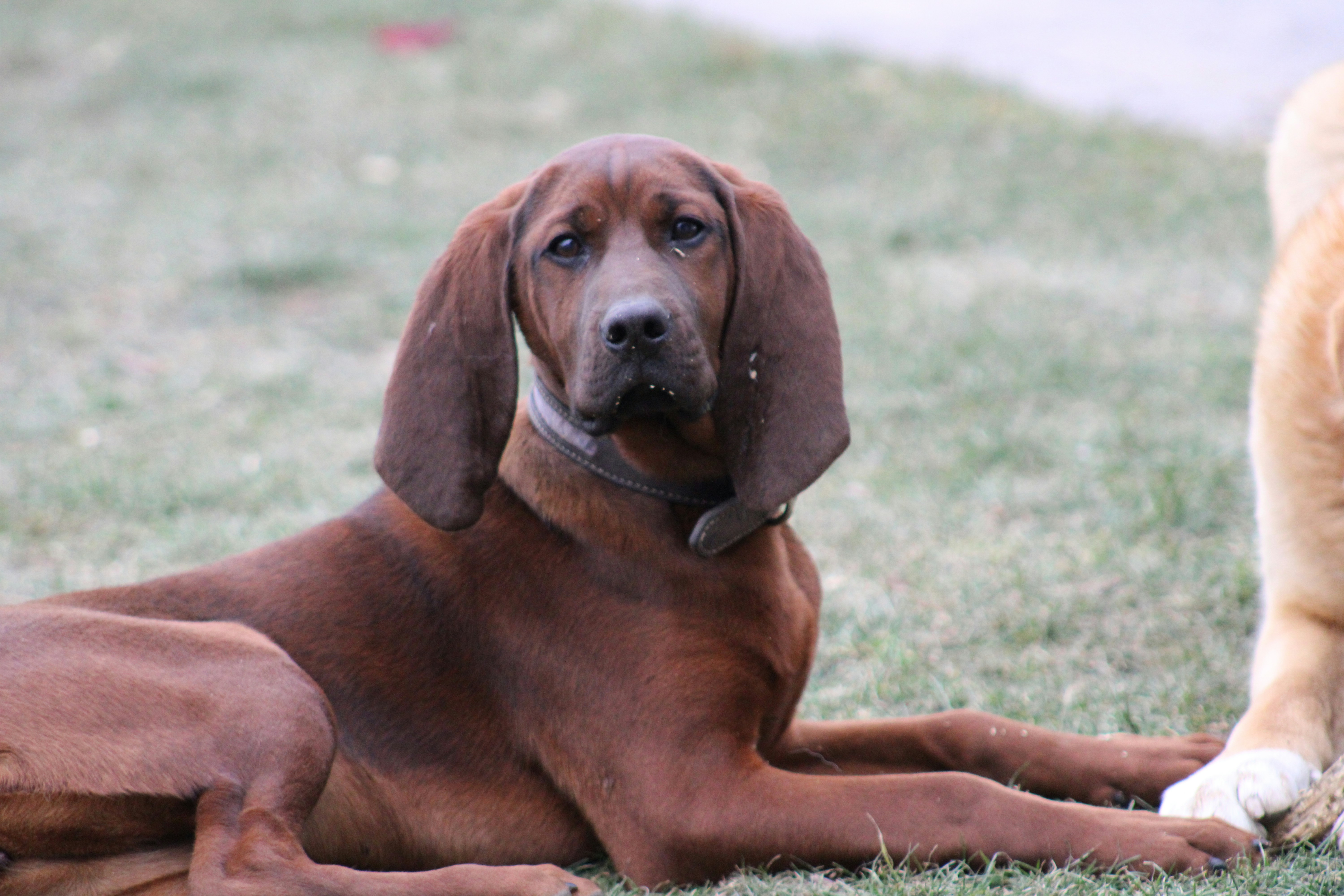 Photo by marie_martin1