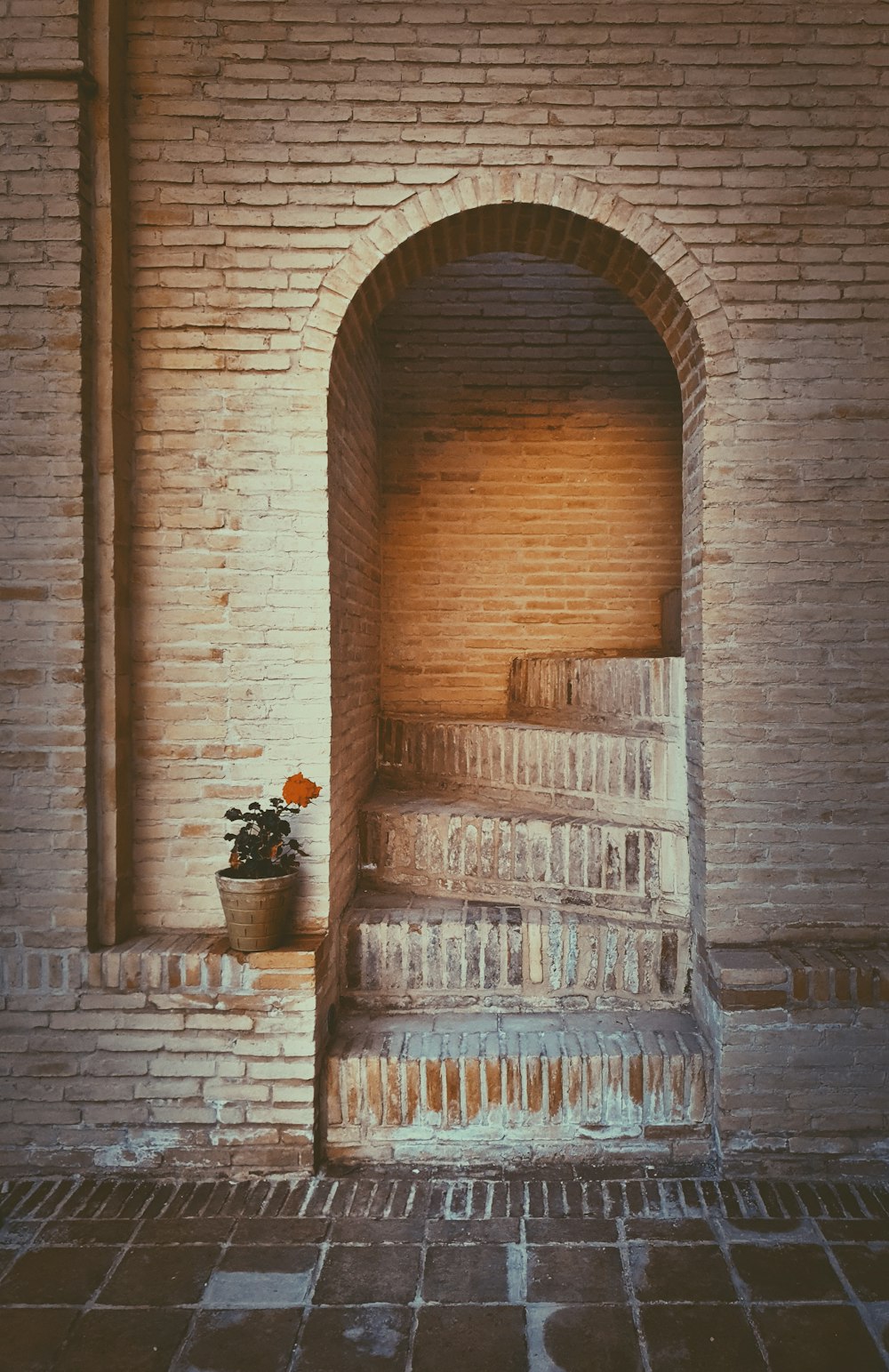 a brick wall with a doorway and a potted plant