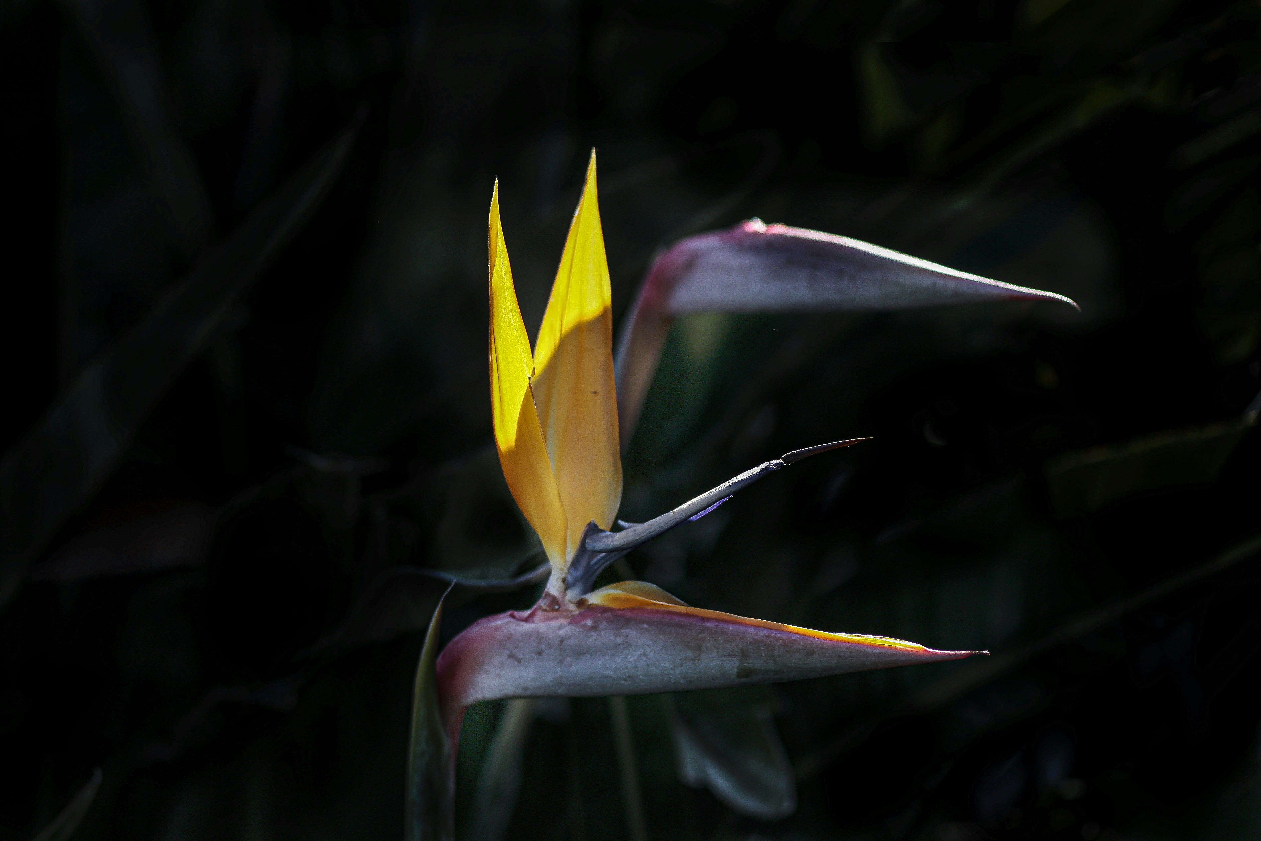 Tu Poder Creativo Post feature image