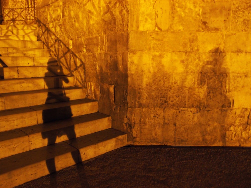 a shadow of a person walking up a set of stairs