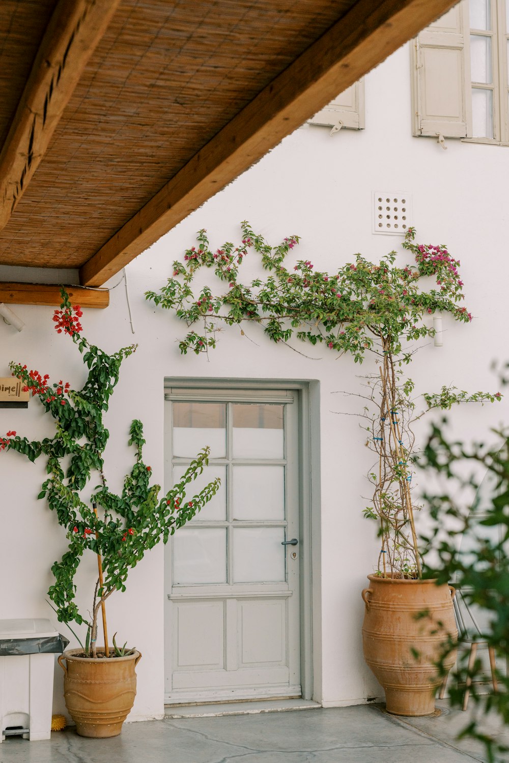 a white building with a door and some plants