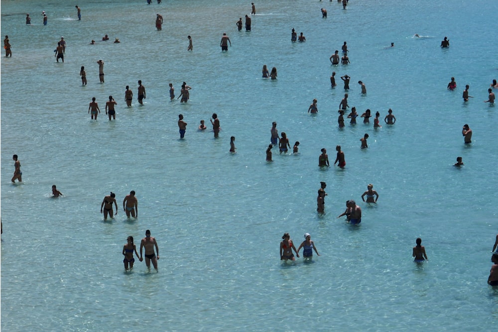 un grande gruppo di persone in piedi in uno specchio d'acqua