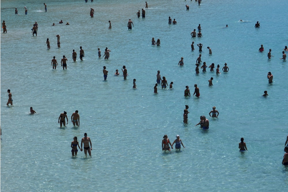 a large group of people standing in a body of water