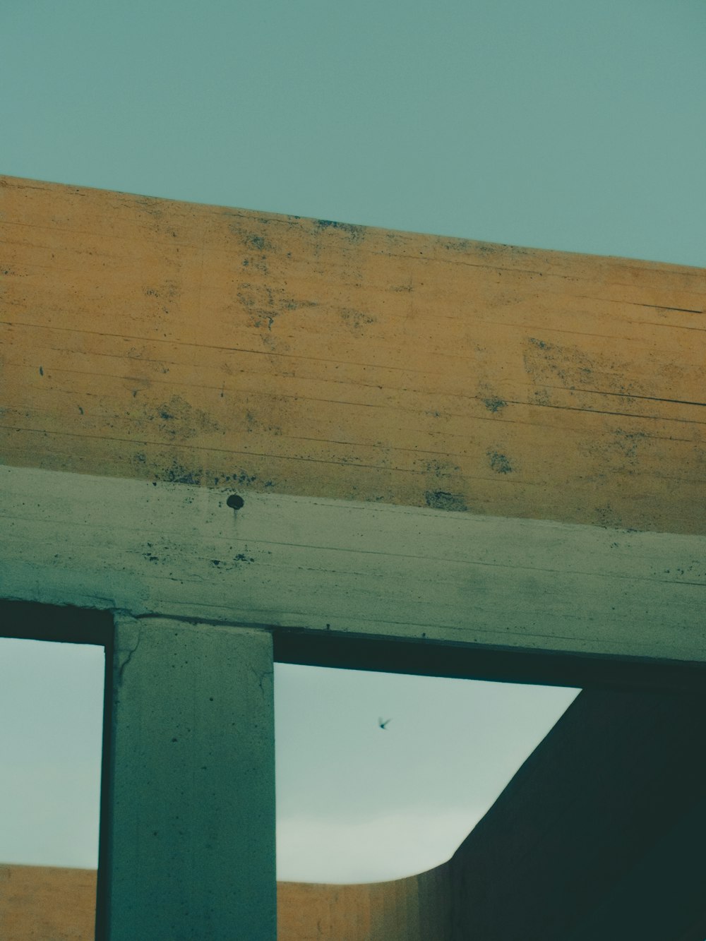 a bird is perched on the side of a building