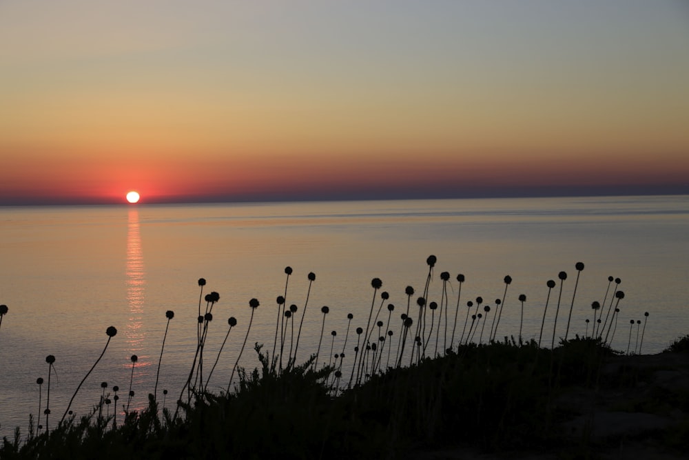 the sun is setting over a body of water