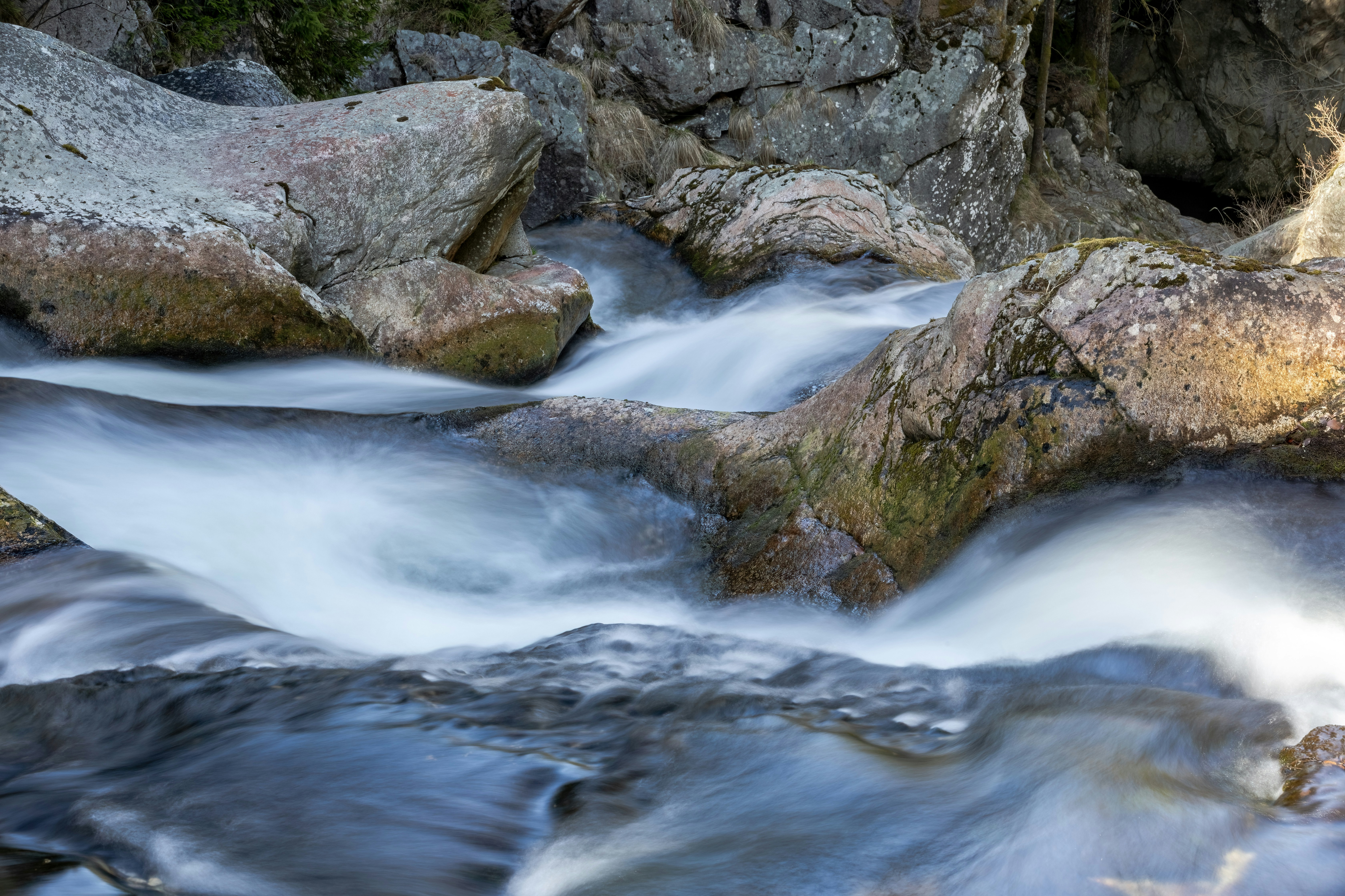 Photo by ovidiugruescu