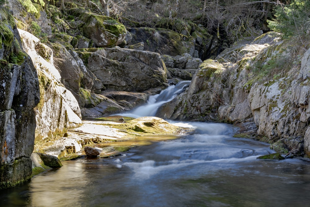 a small waterfall running through a forest filled with rocks