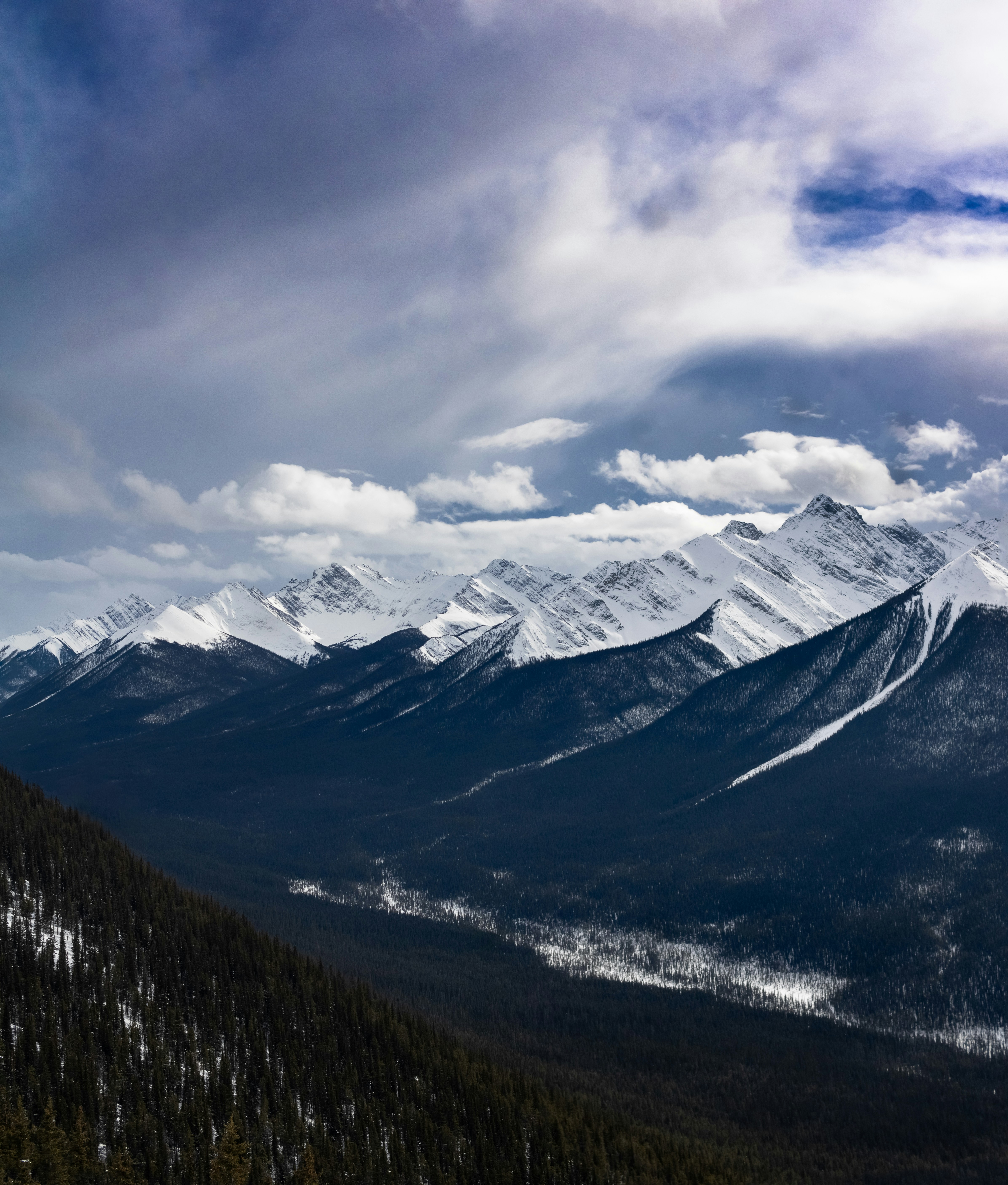 Photo by ingenious0range