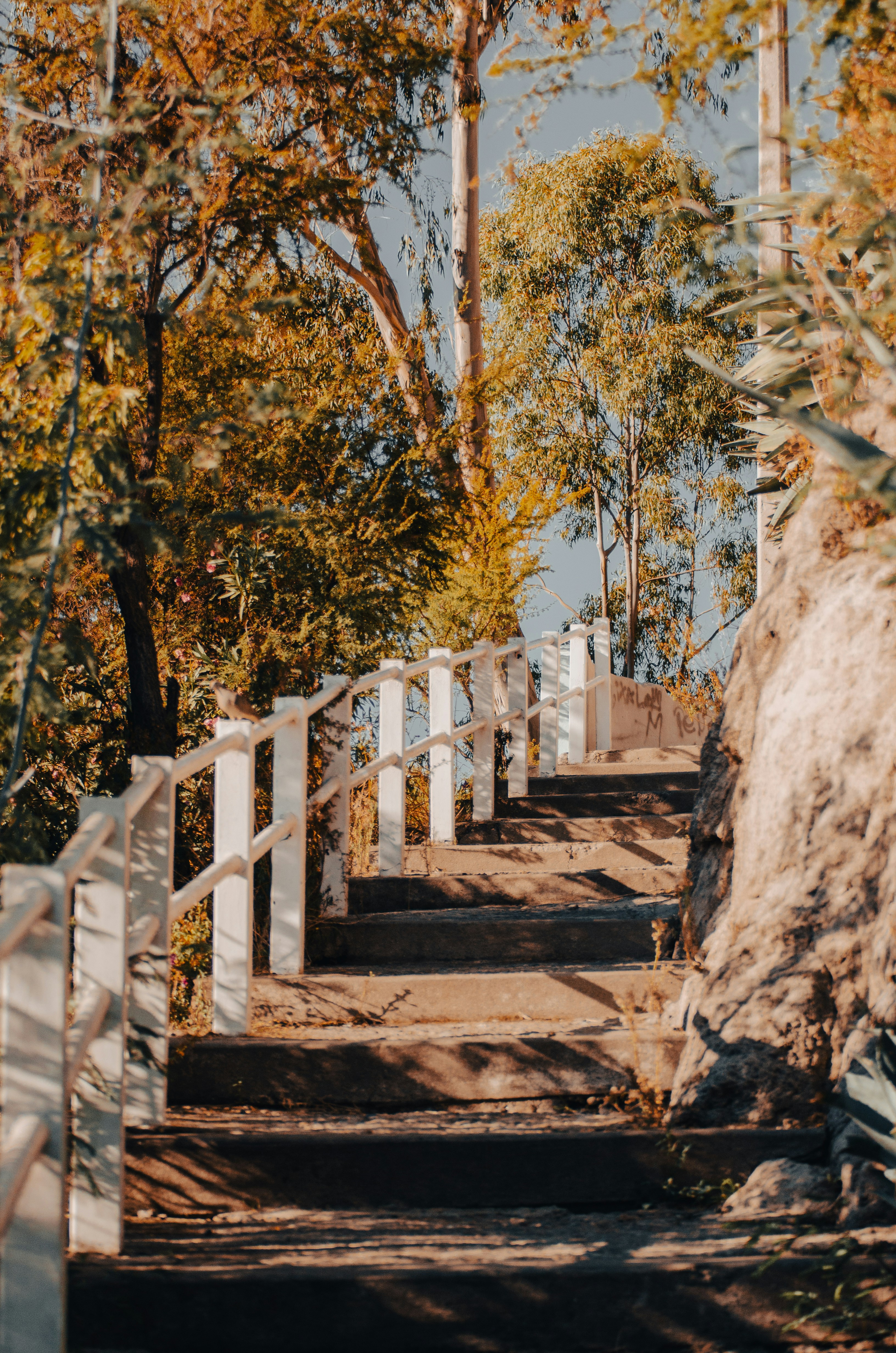 Photo by luckas_bff_me