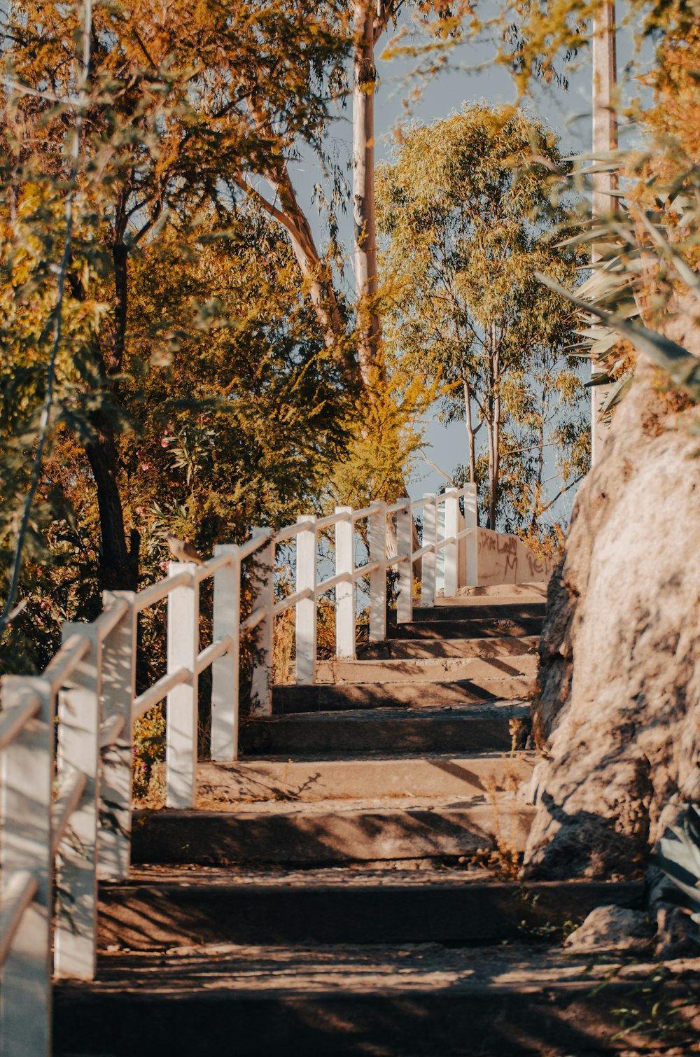 a set of stairs leading up to a beach
