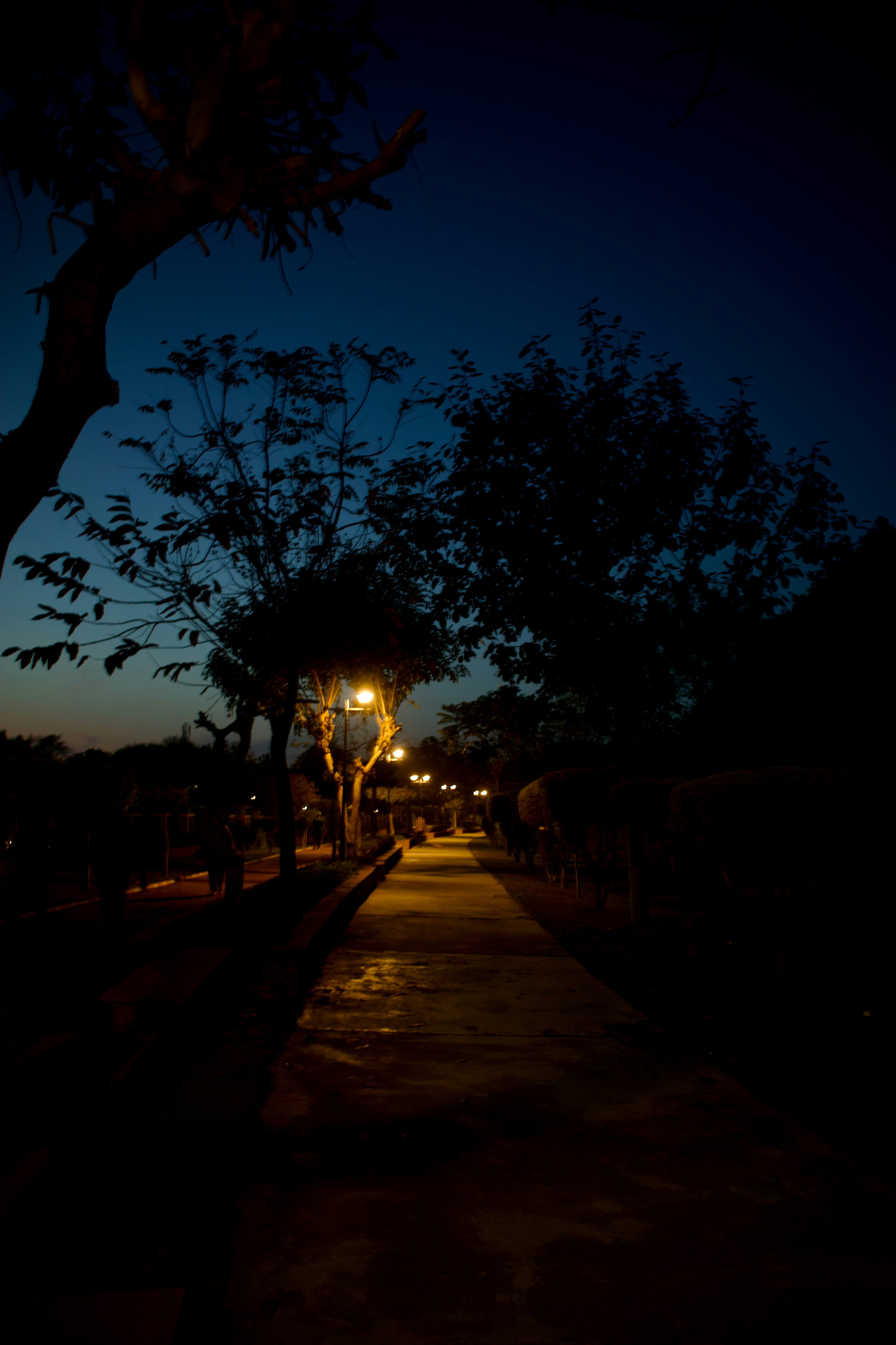 Photo by imdhirajchouhan