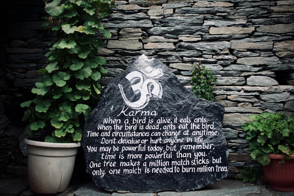 a rock with a poem on it next to a potted plant