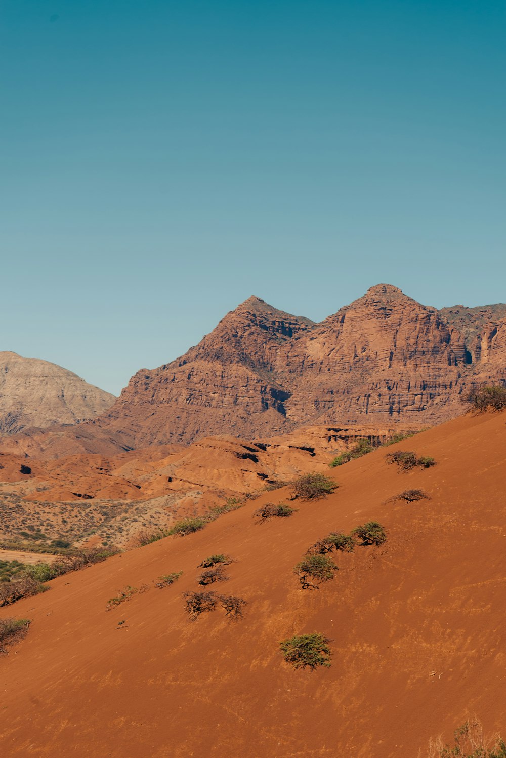 a desert landscape with a mountain range in the background