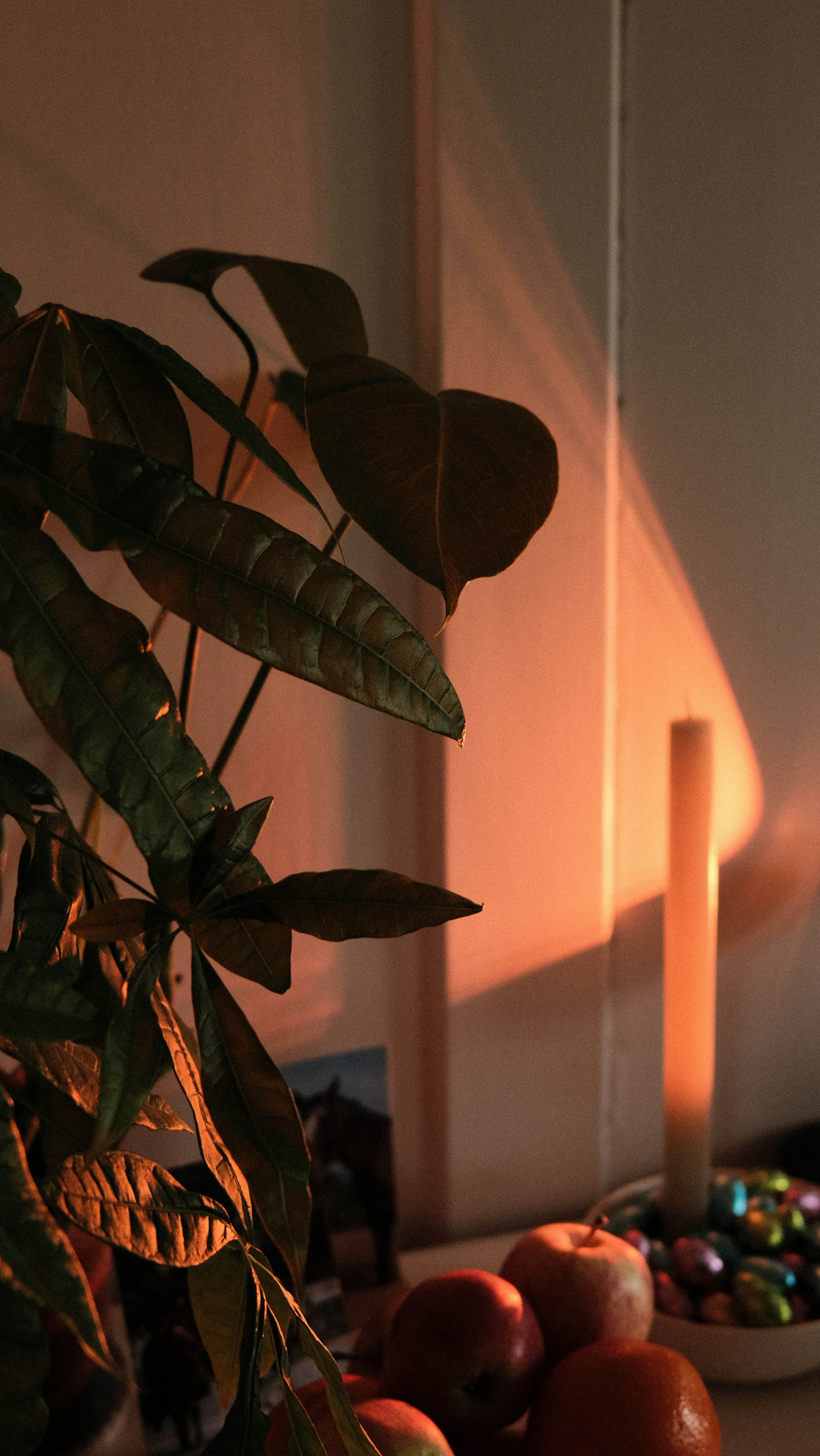 Photo by janisringli