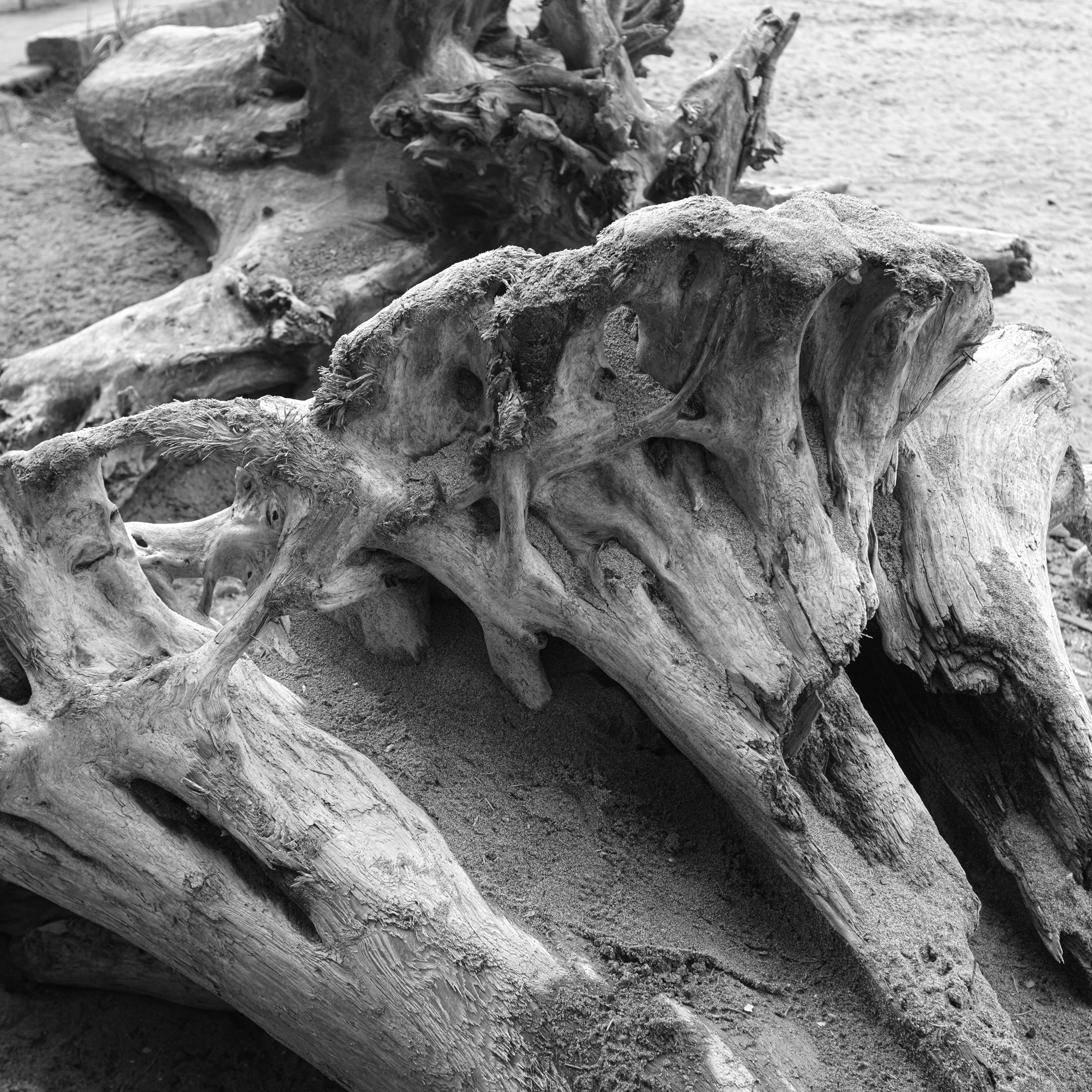 Photo by jonathankslim