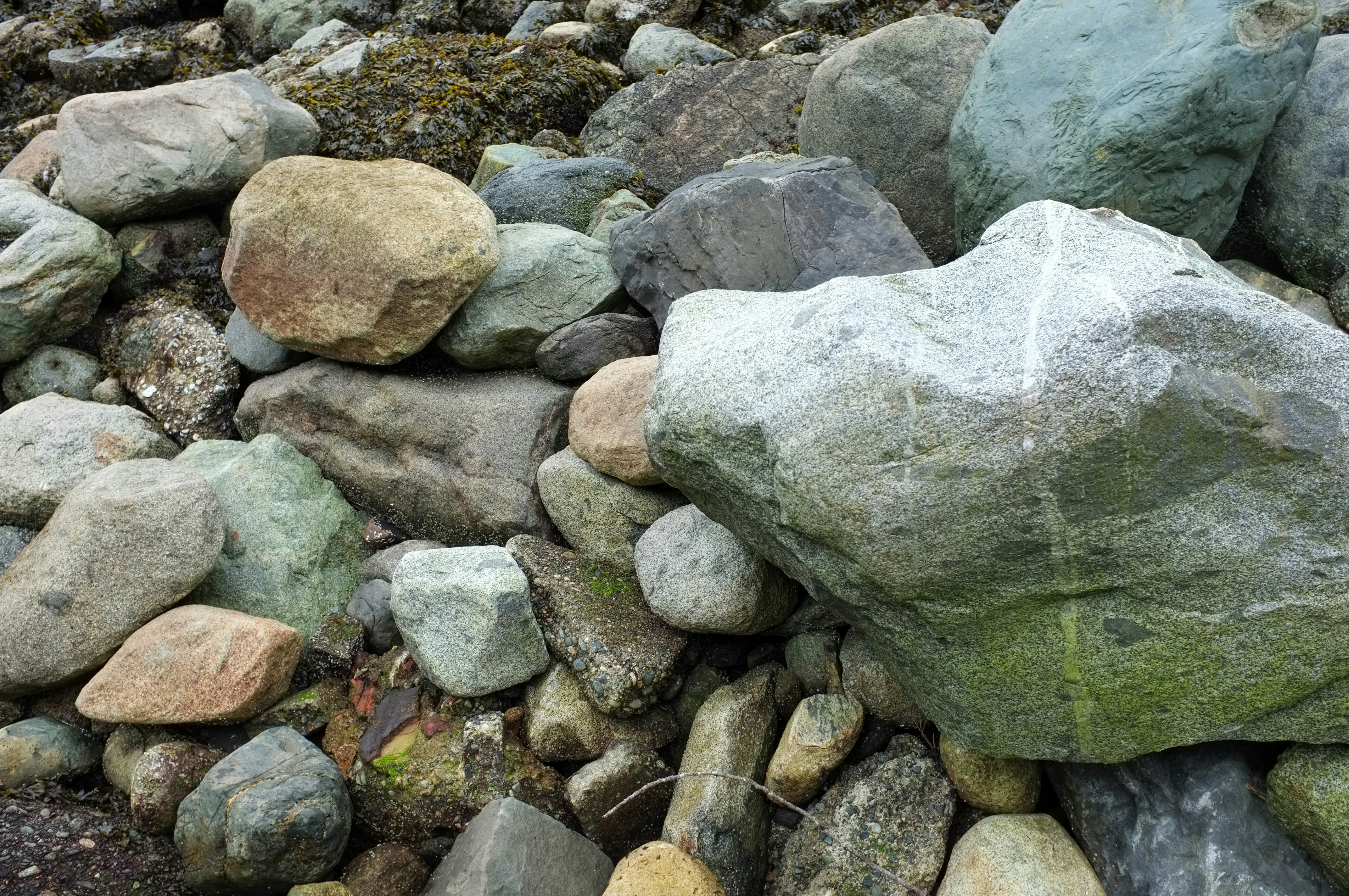 Photo by jonathankslim