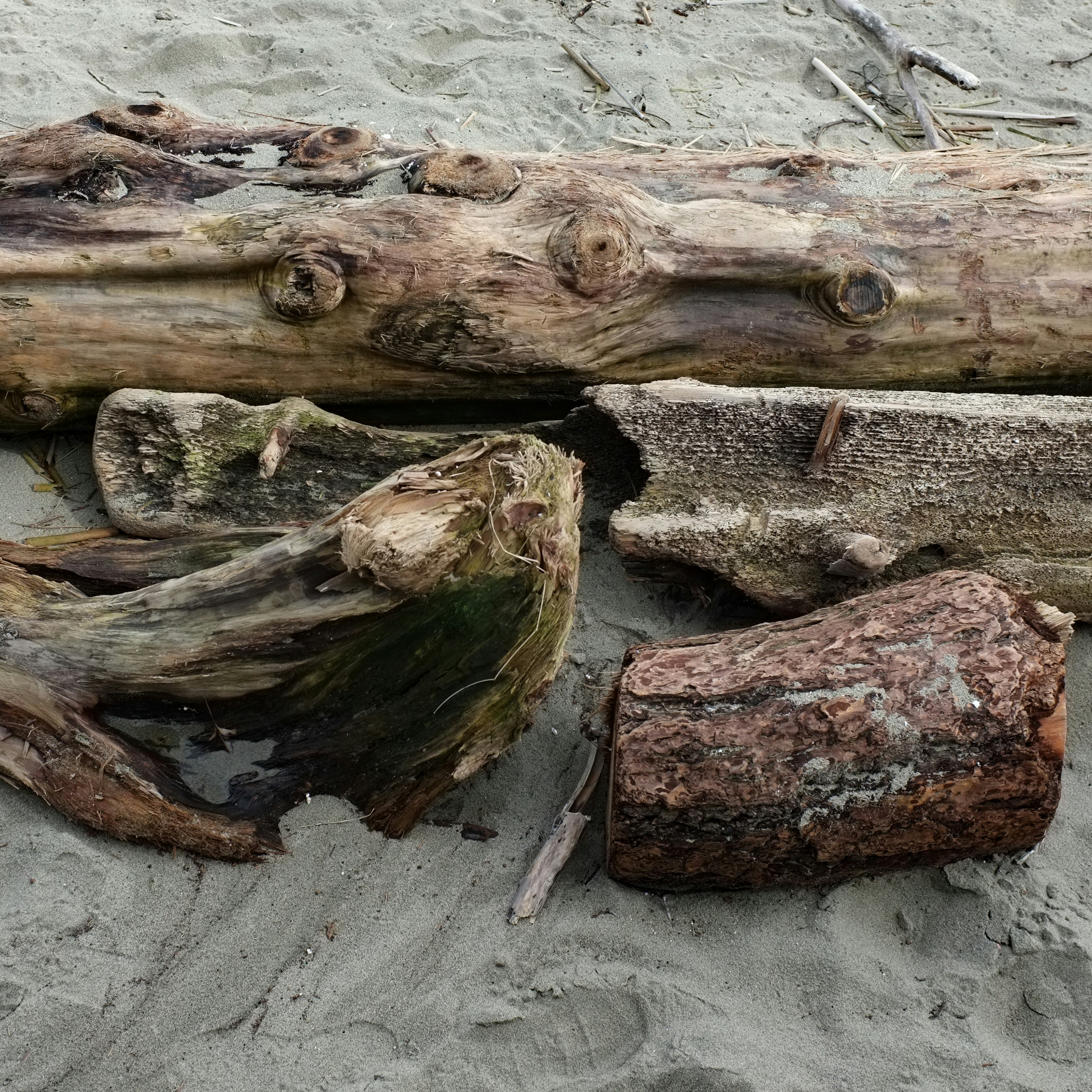 Photo by jonathankslim