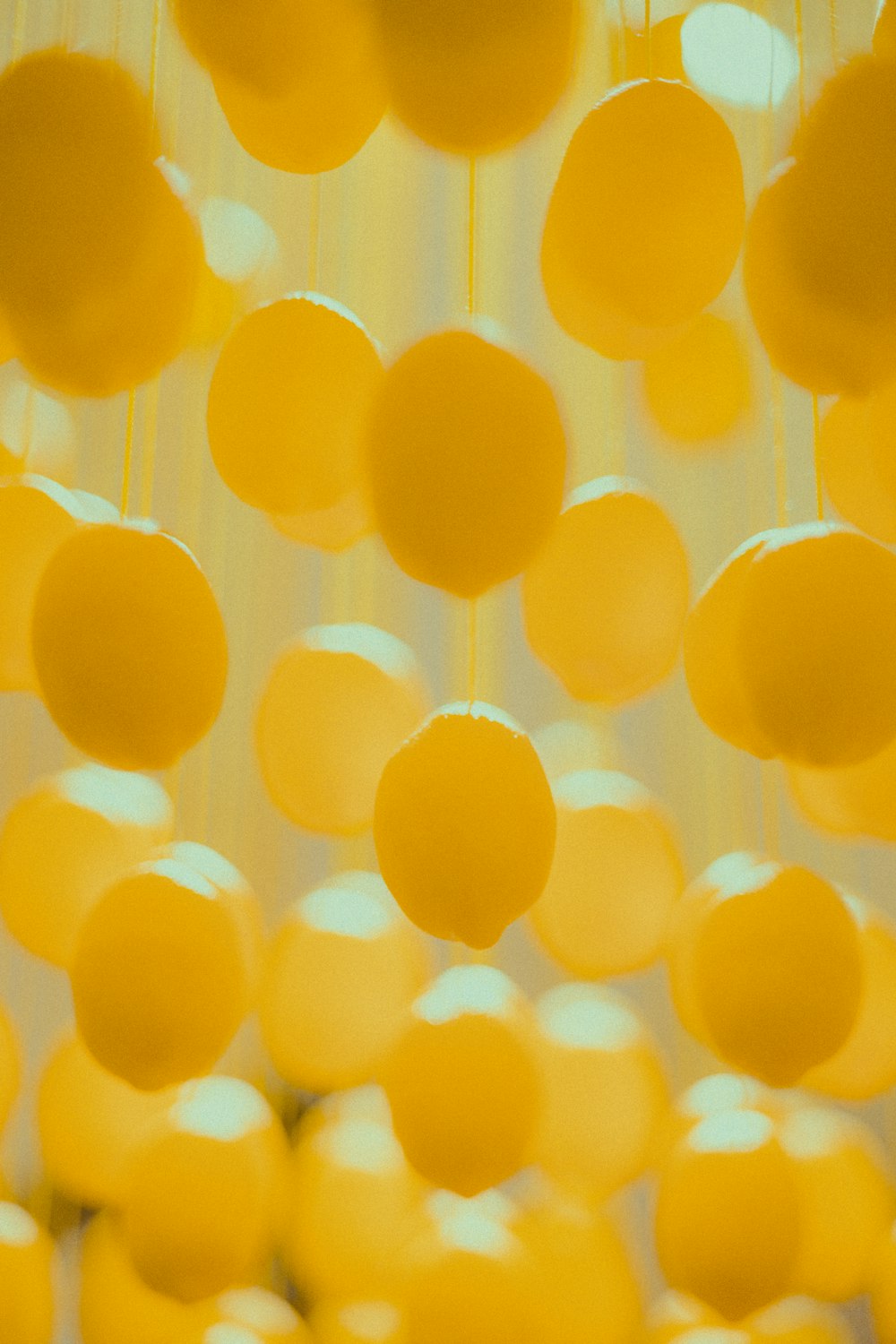 a bunch of yellow balls hanging from a ceiling